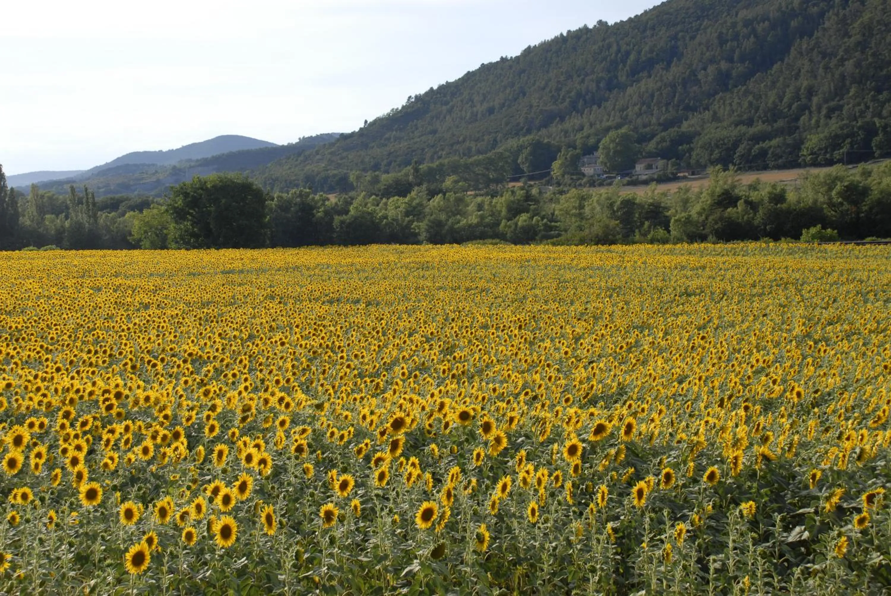 Natural landscape in "Le Pigeonnier" chambre d'hôte