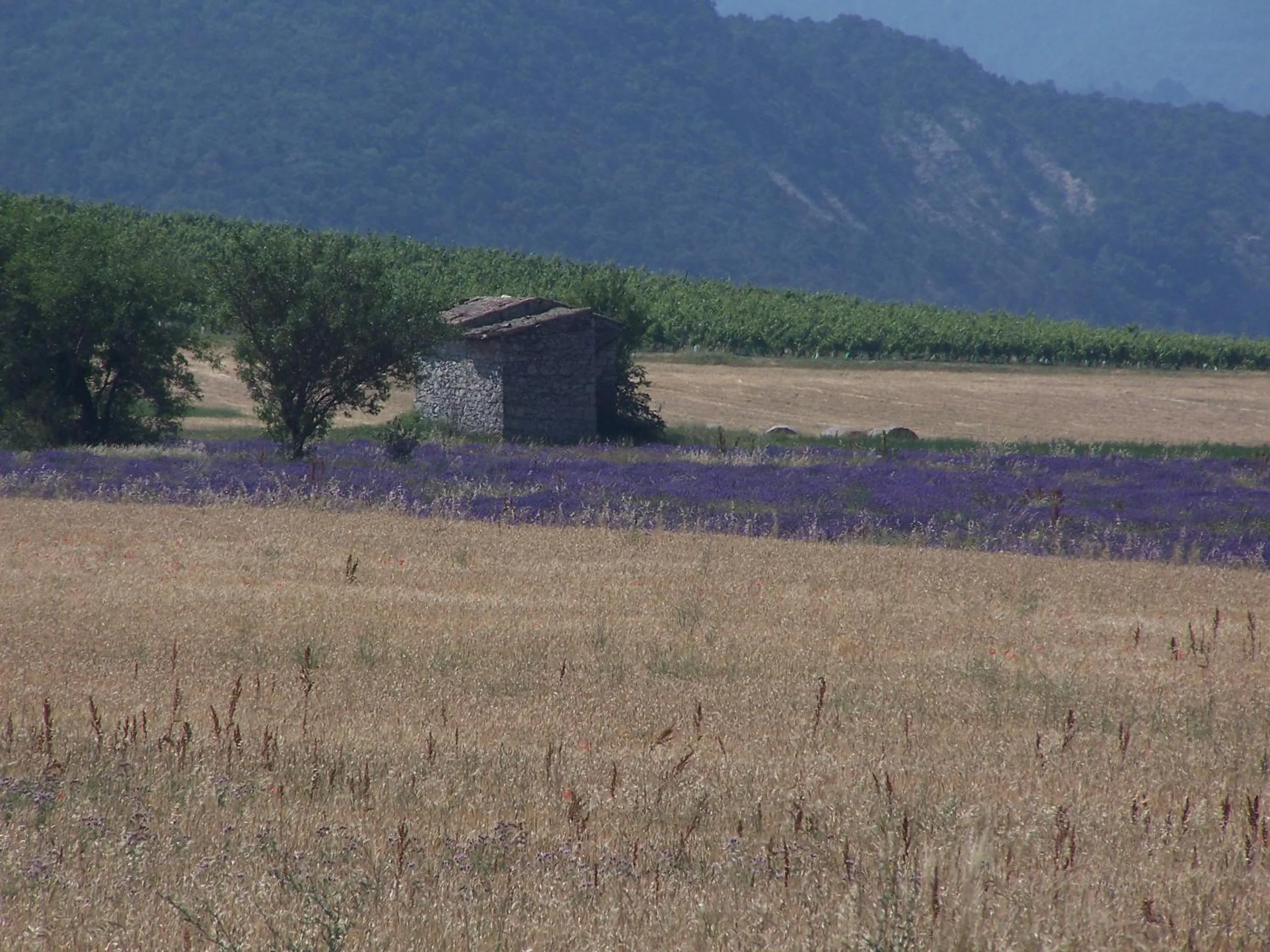 Natural landscape in "Le Pigeonnier" chambre d'hôte