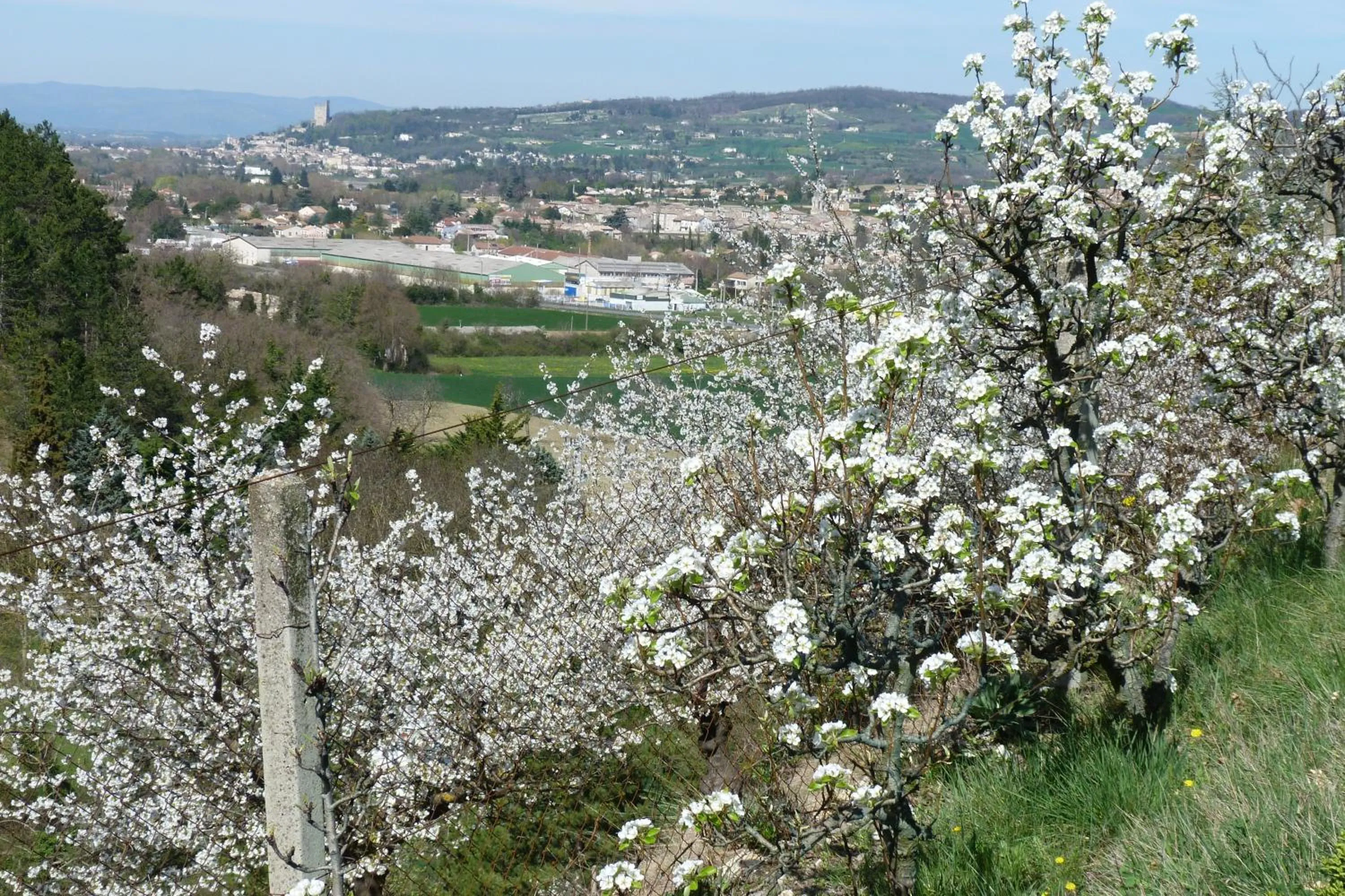 Mountain view in "Le Pigeonnier" chambre d'hôte