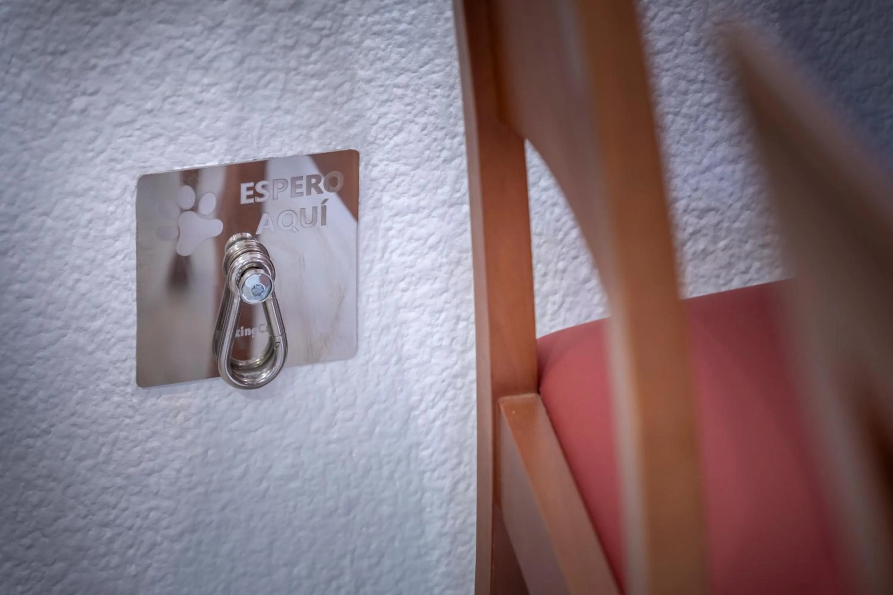 pet friendly in GHT Balmes, Hotel-Aparthotel&SPLASH