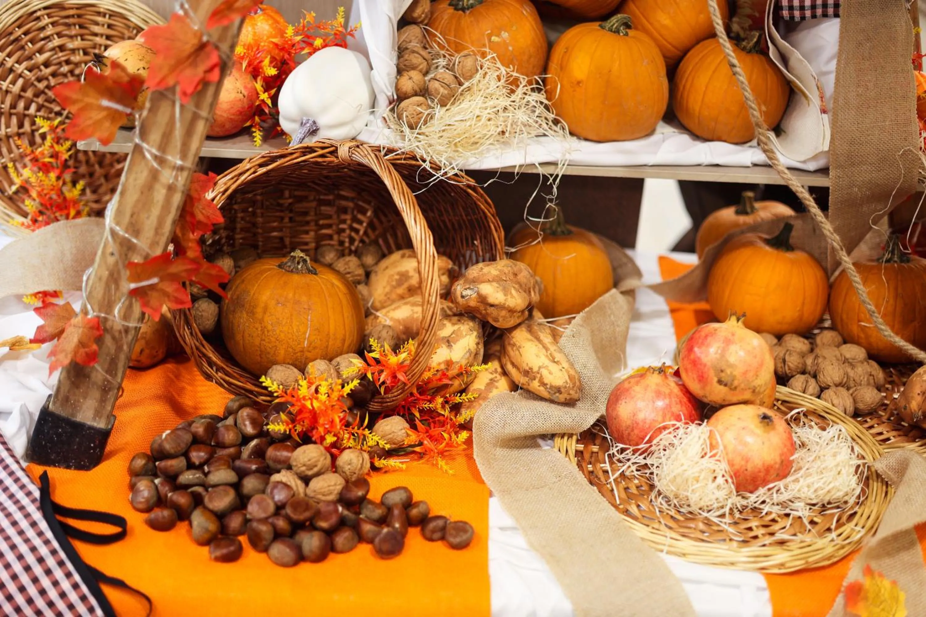 Restaurant/places to eat in GHT Oasis Tossa & Spa