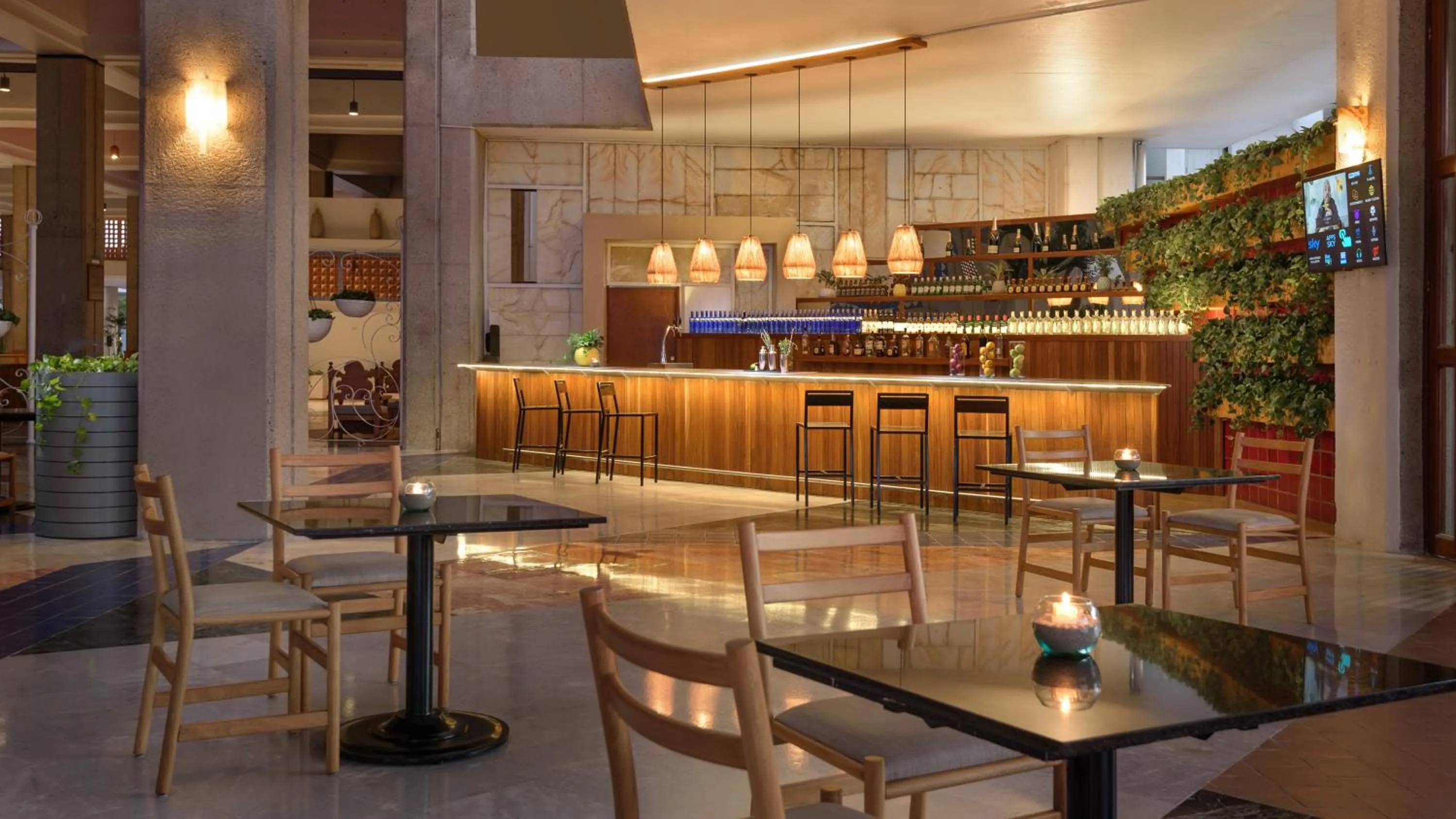 Lounge or bar in Meliá Puerto Vallarta – All Inclusive