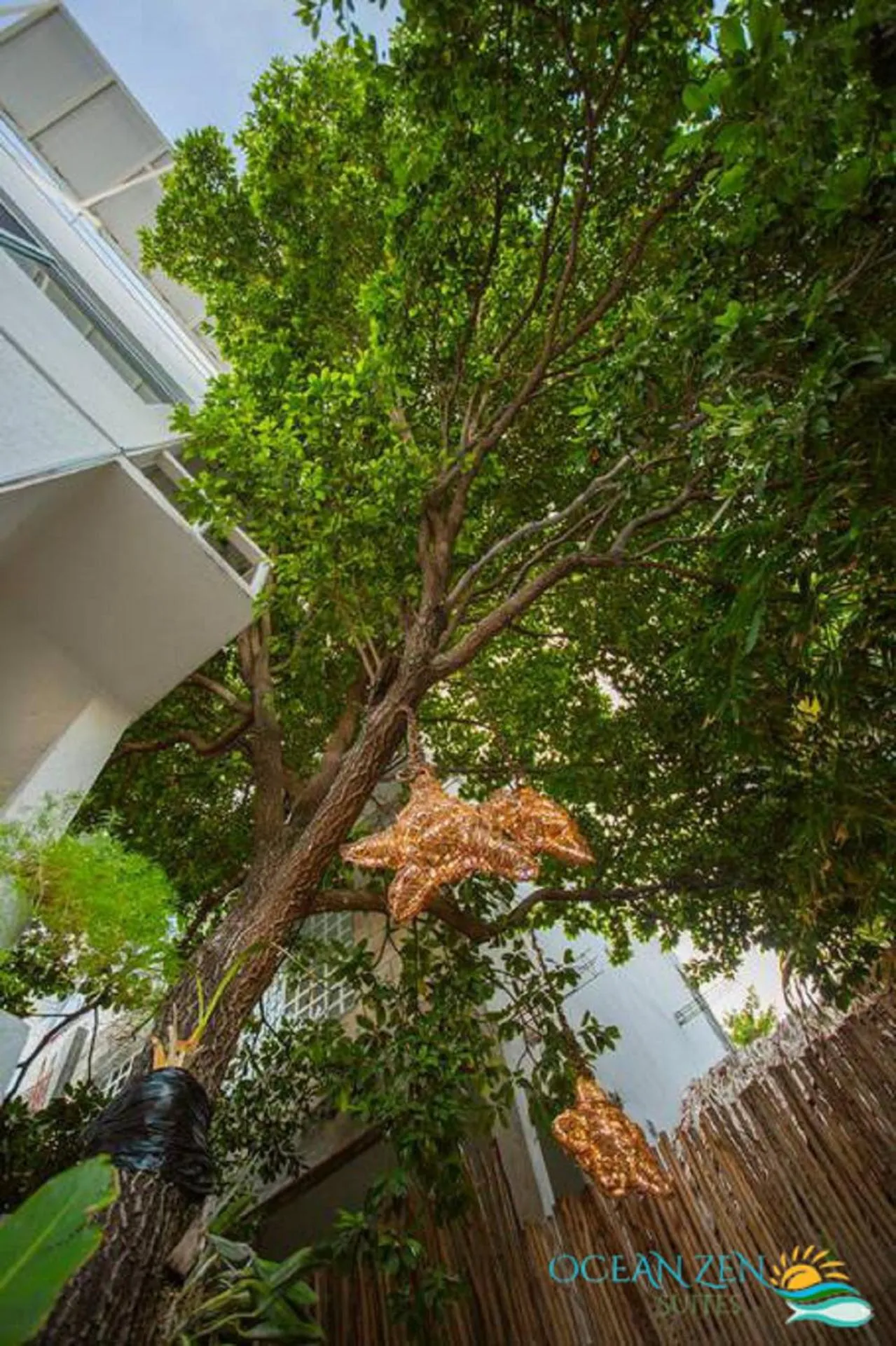 Natural landscape in Ocean Zen Suites on 5th Avenue - Adults Only