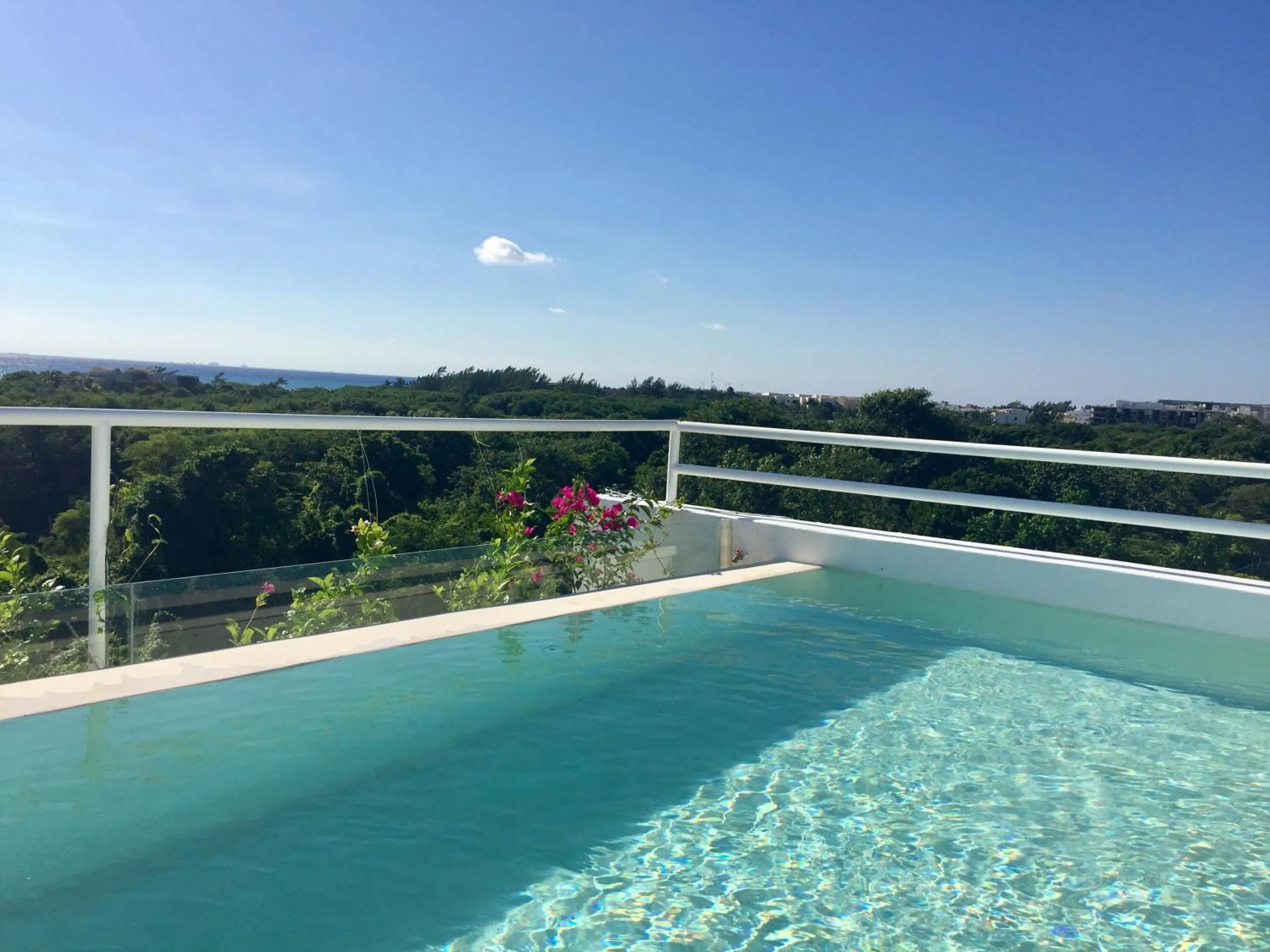 Pool view in Ocean Zen Suites on 5th Avenue - Adults Only