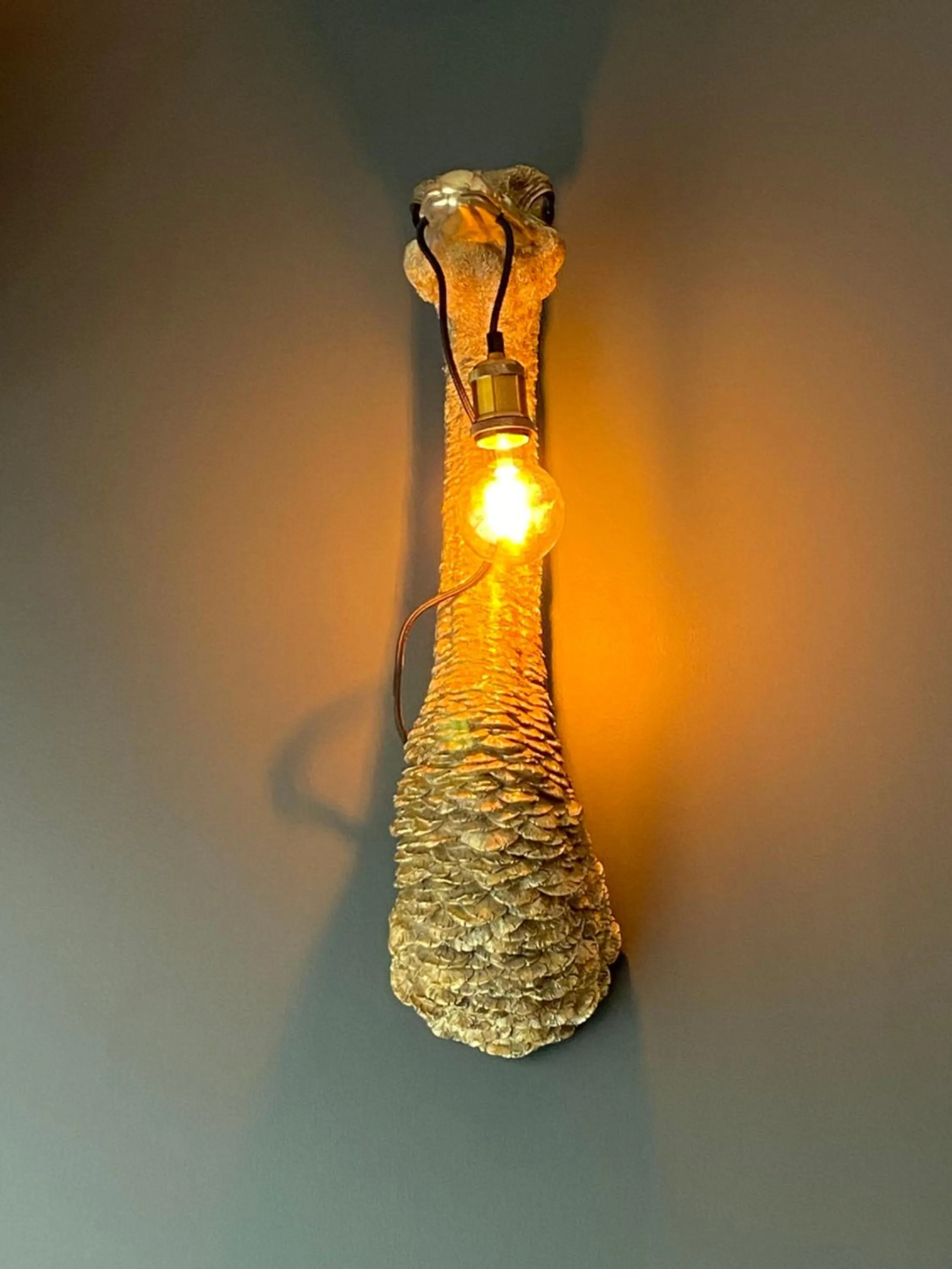 Decorative detail in Hôtel Paulette Rouen Centre Cathédrale