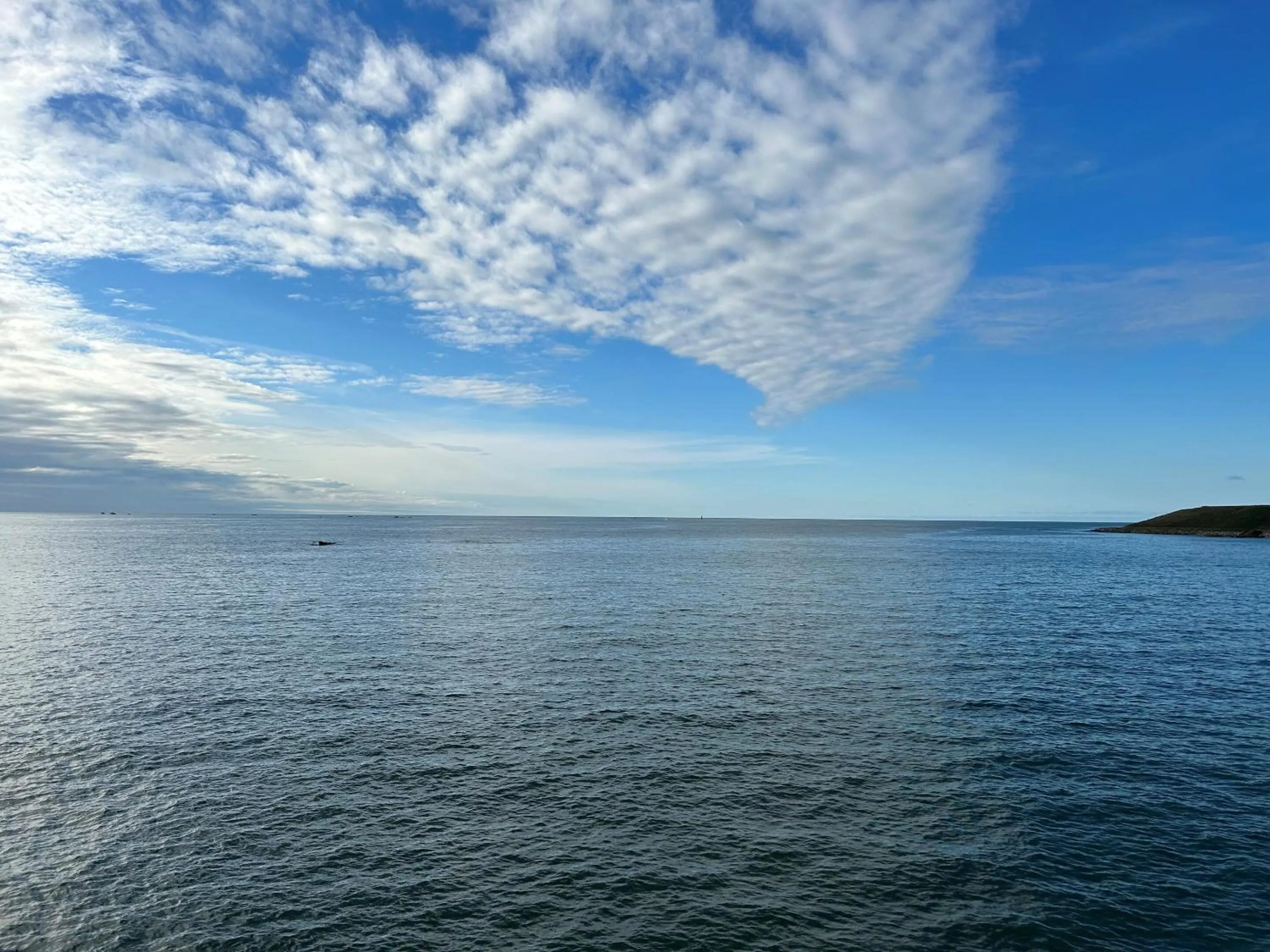 View (from property/room) in Marina Metro Hotel