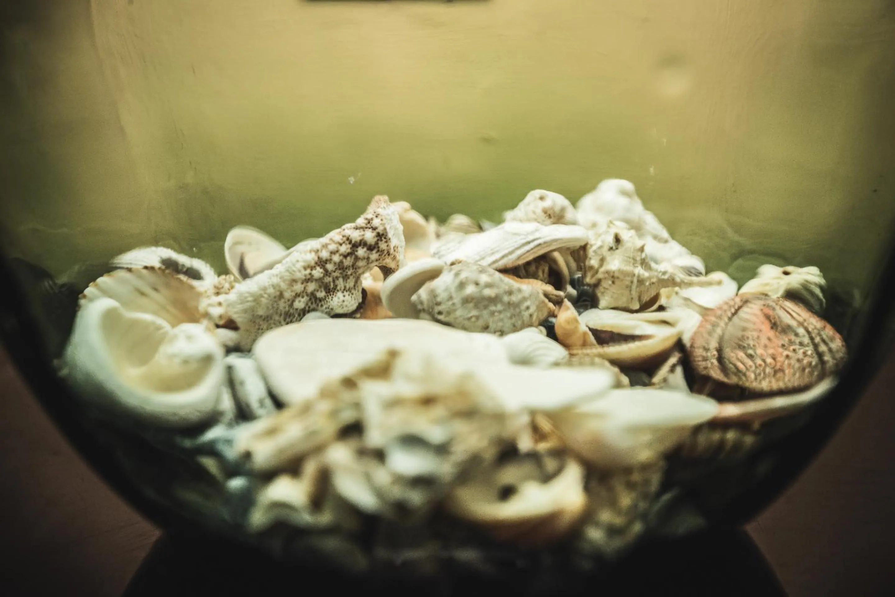 Photo of the whole room in Sailors Rest Riomaggiore - Cinque Terre