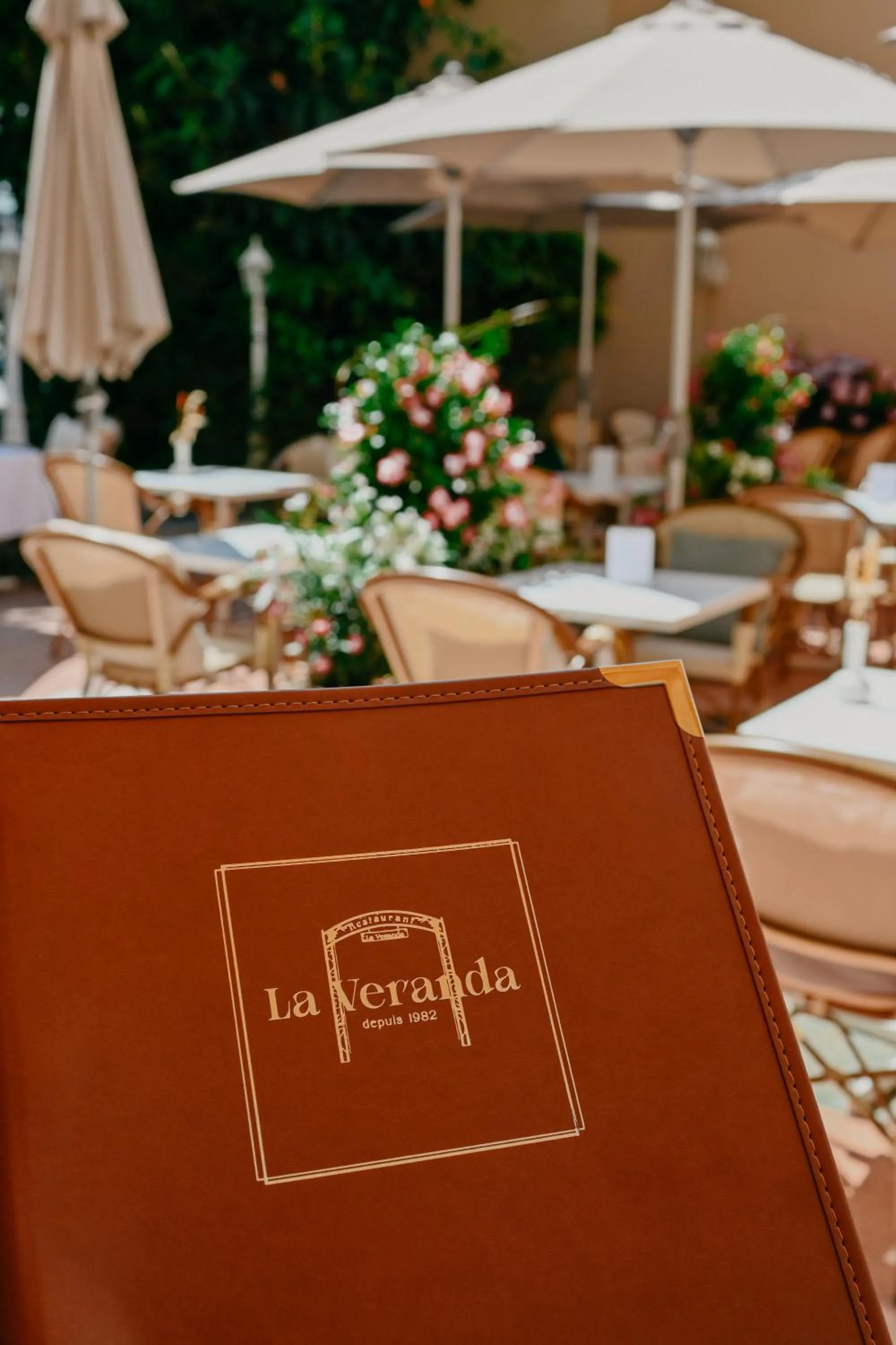 Restaurant/places to eat in Hotel International & Terminus