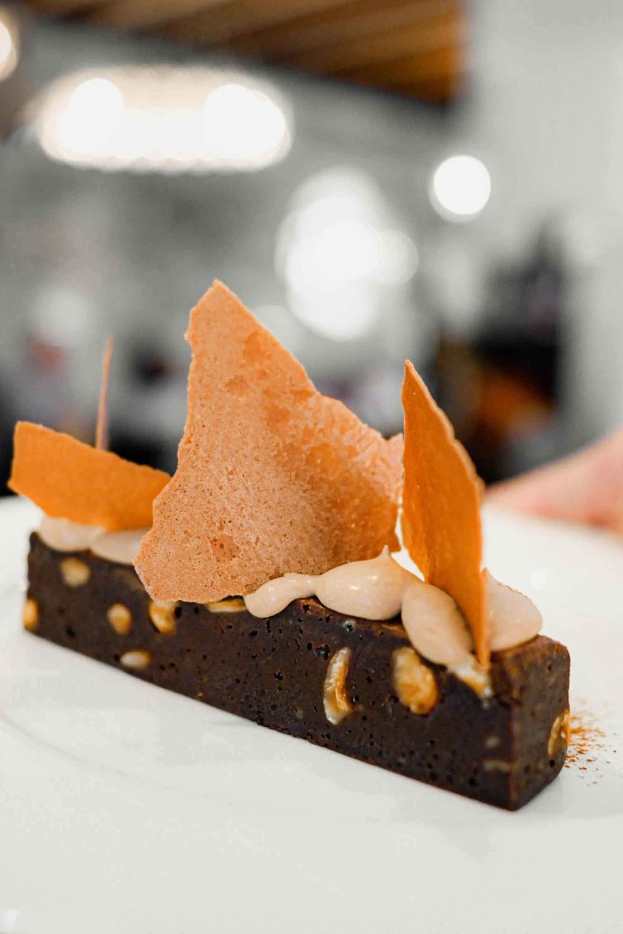 Food in Hotel International & Terminus