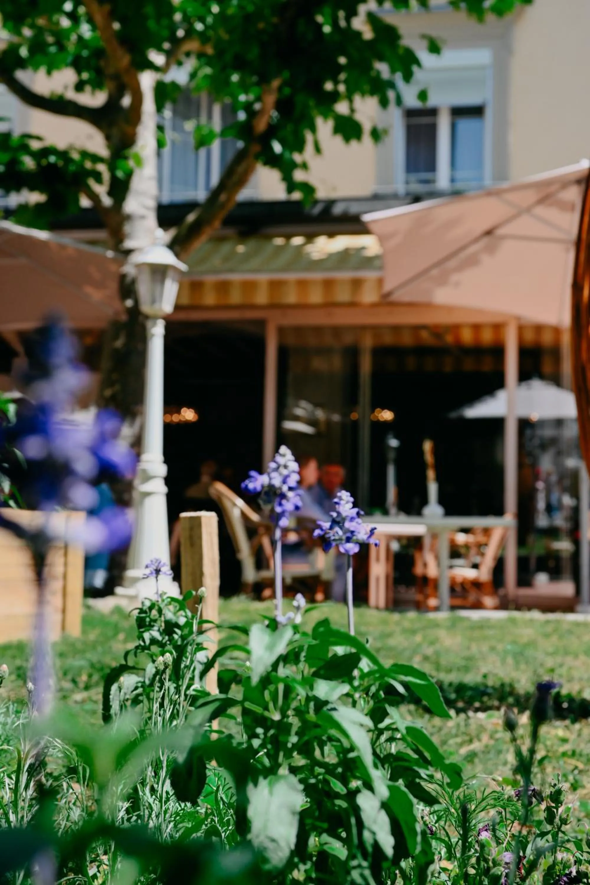 Garden view in Hotel International & Terminus