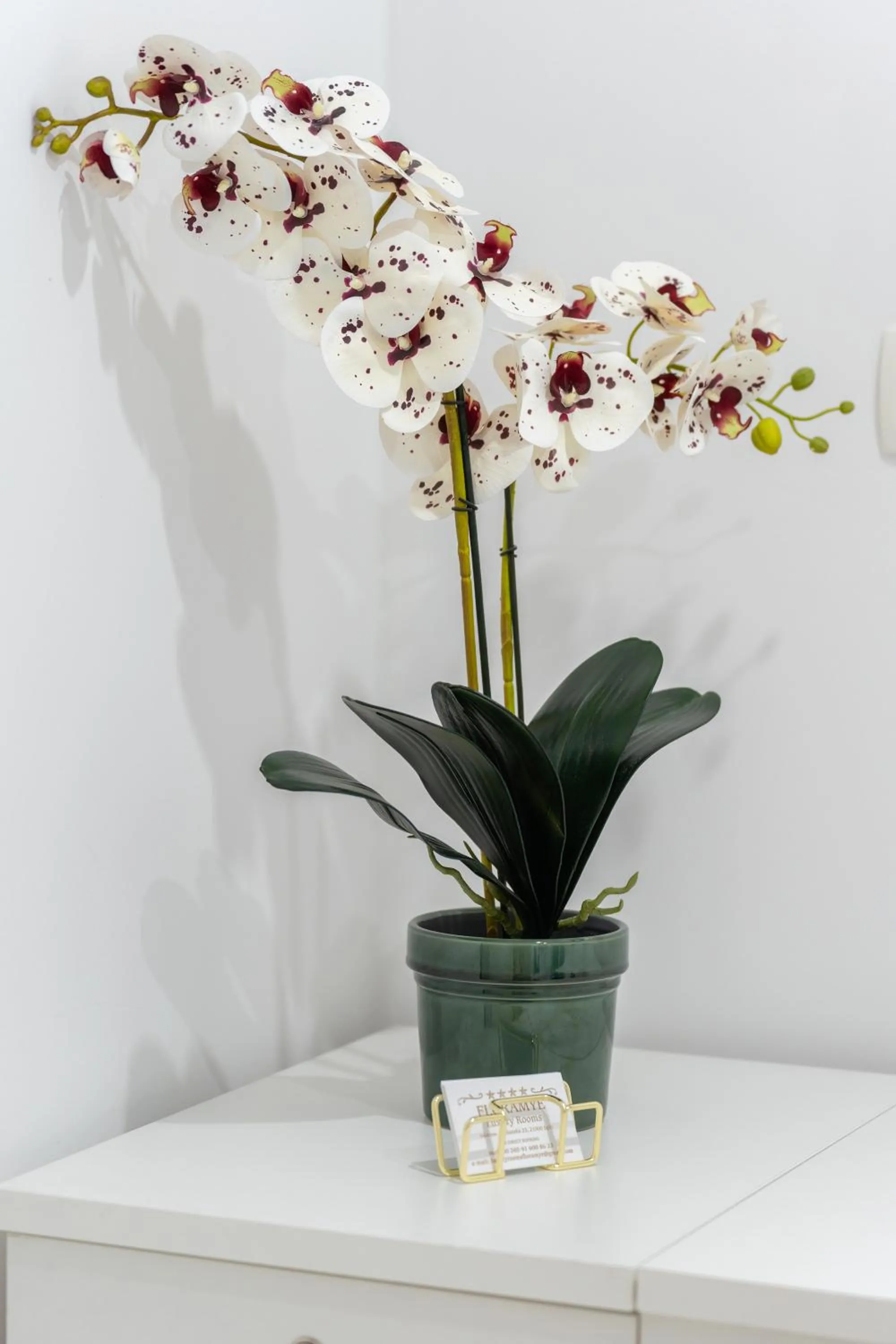 Luxury Rooms Floramye