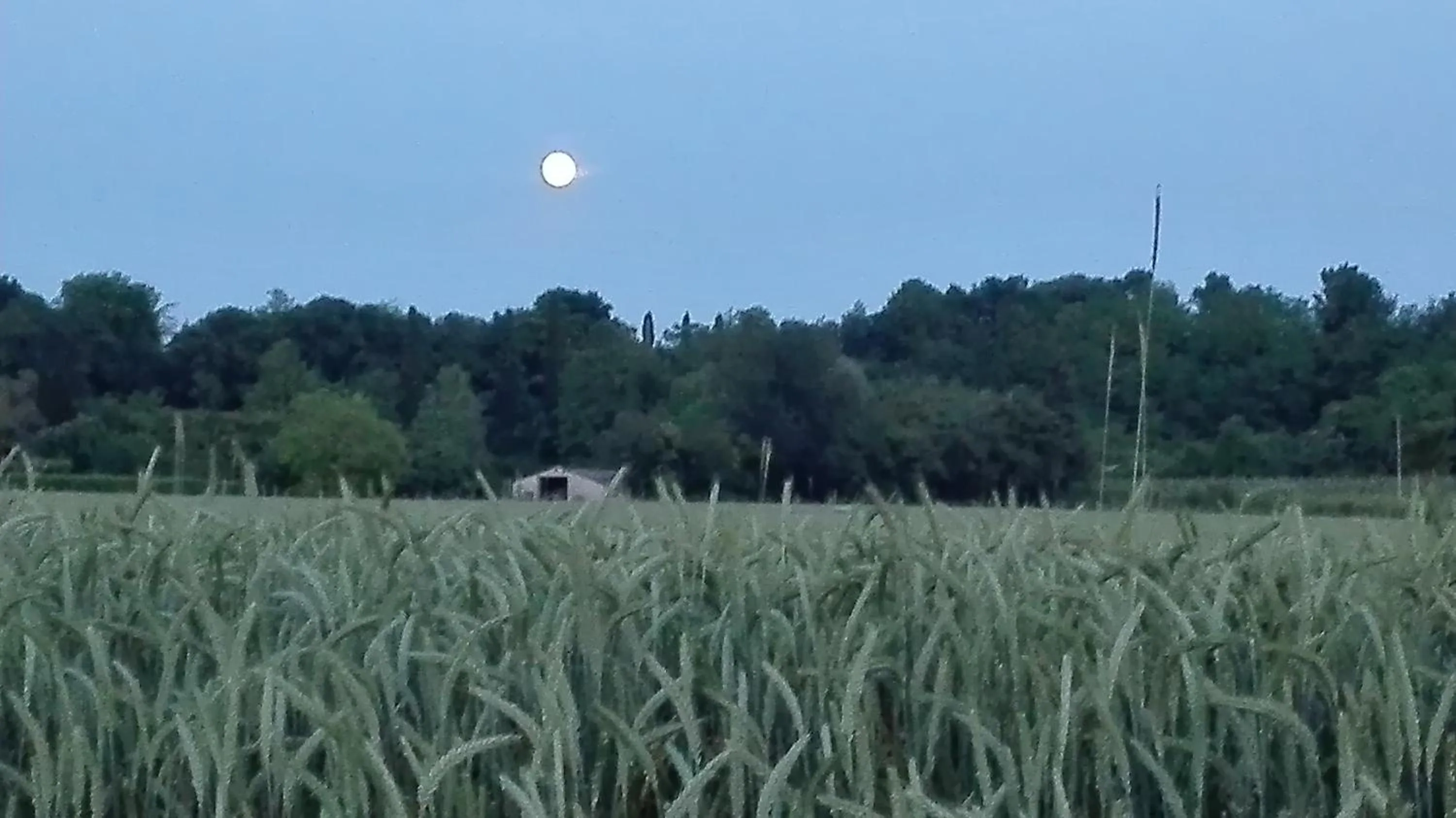 Natural landscape in B&B da Miriam