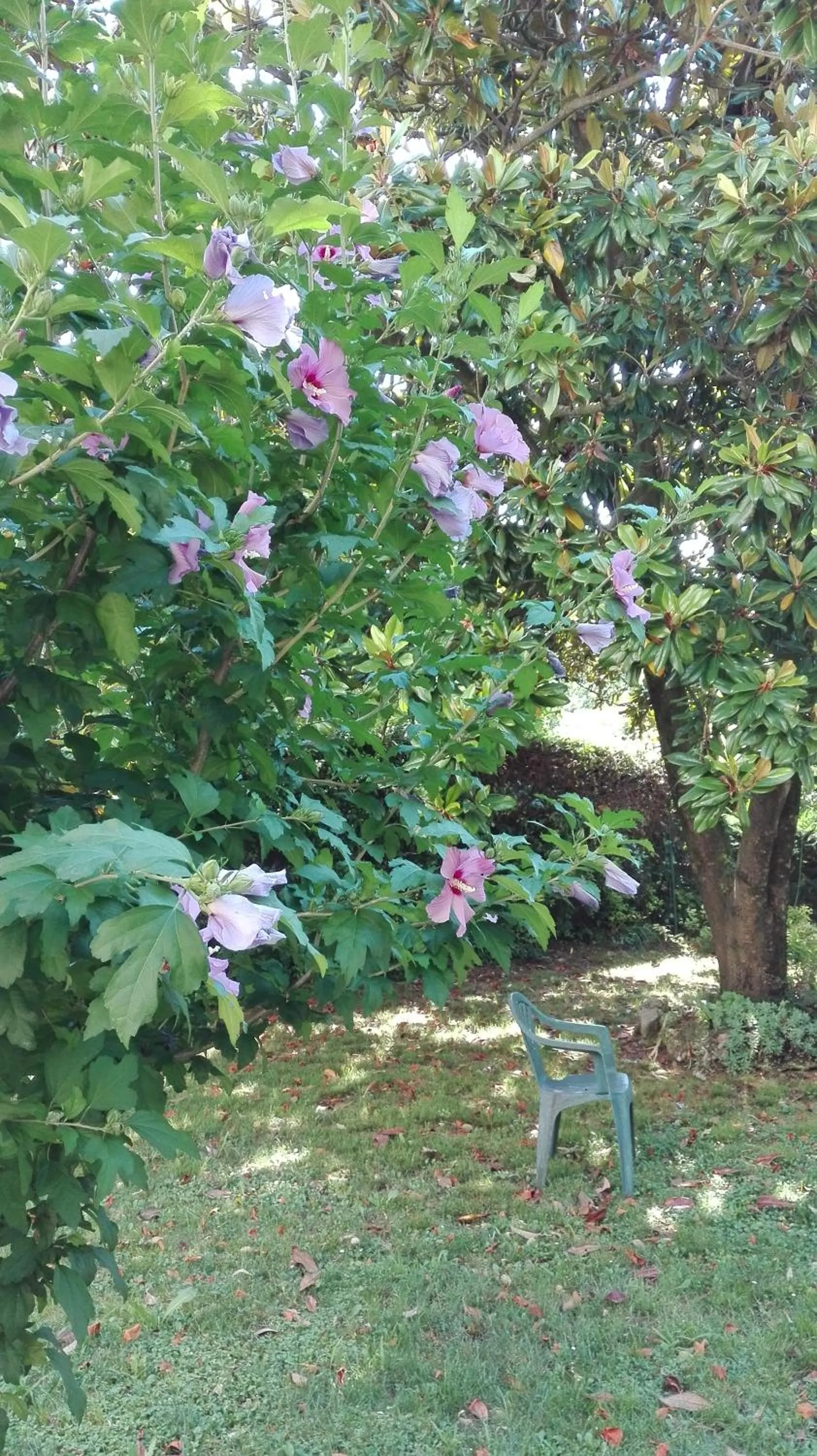 Natural landscape in B&B da Miriam