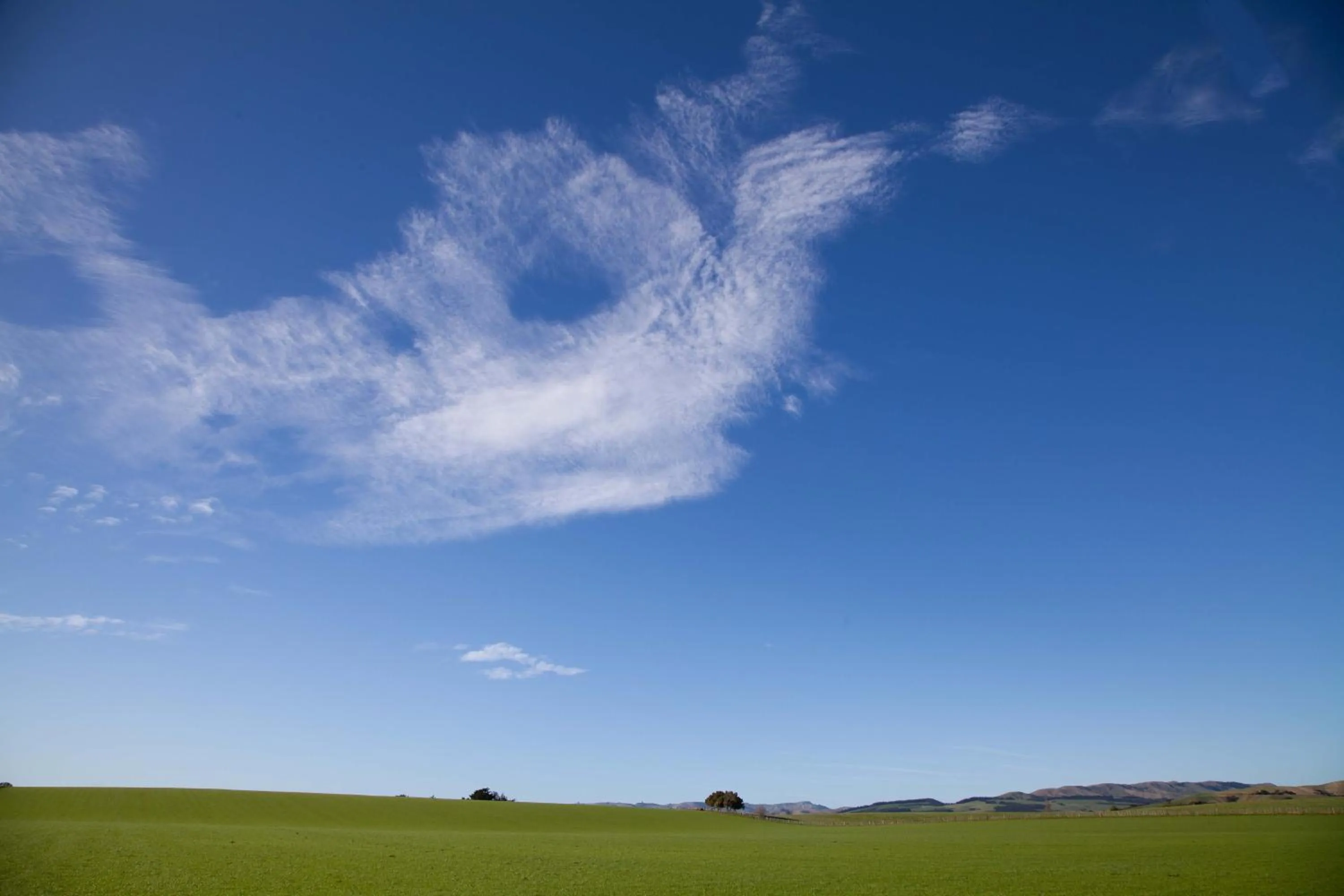 Natural landscape in Languor B&B