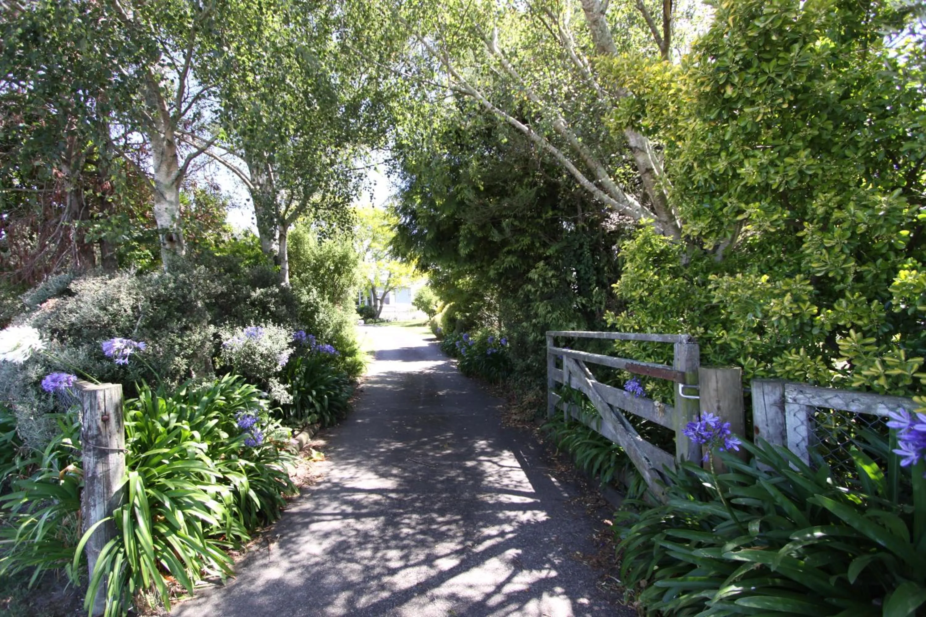 Natural landscape in Languor B&B