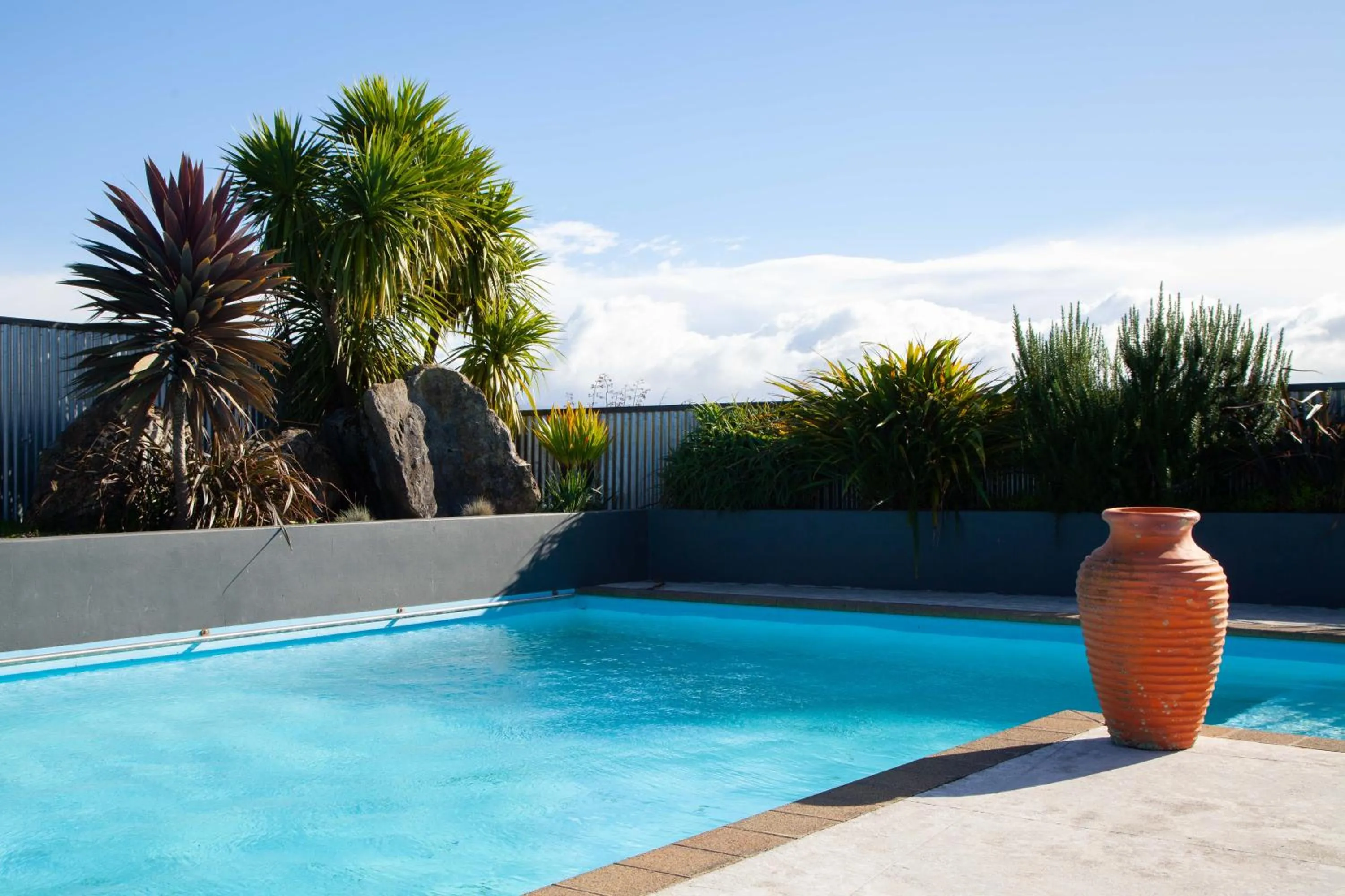 Swimming pool in Languor B&B