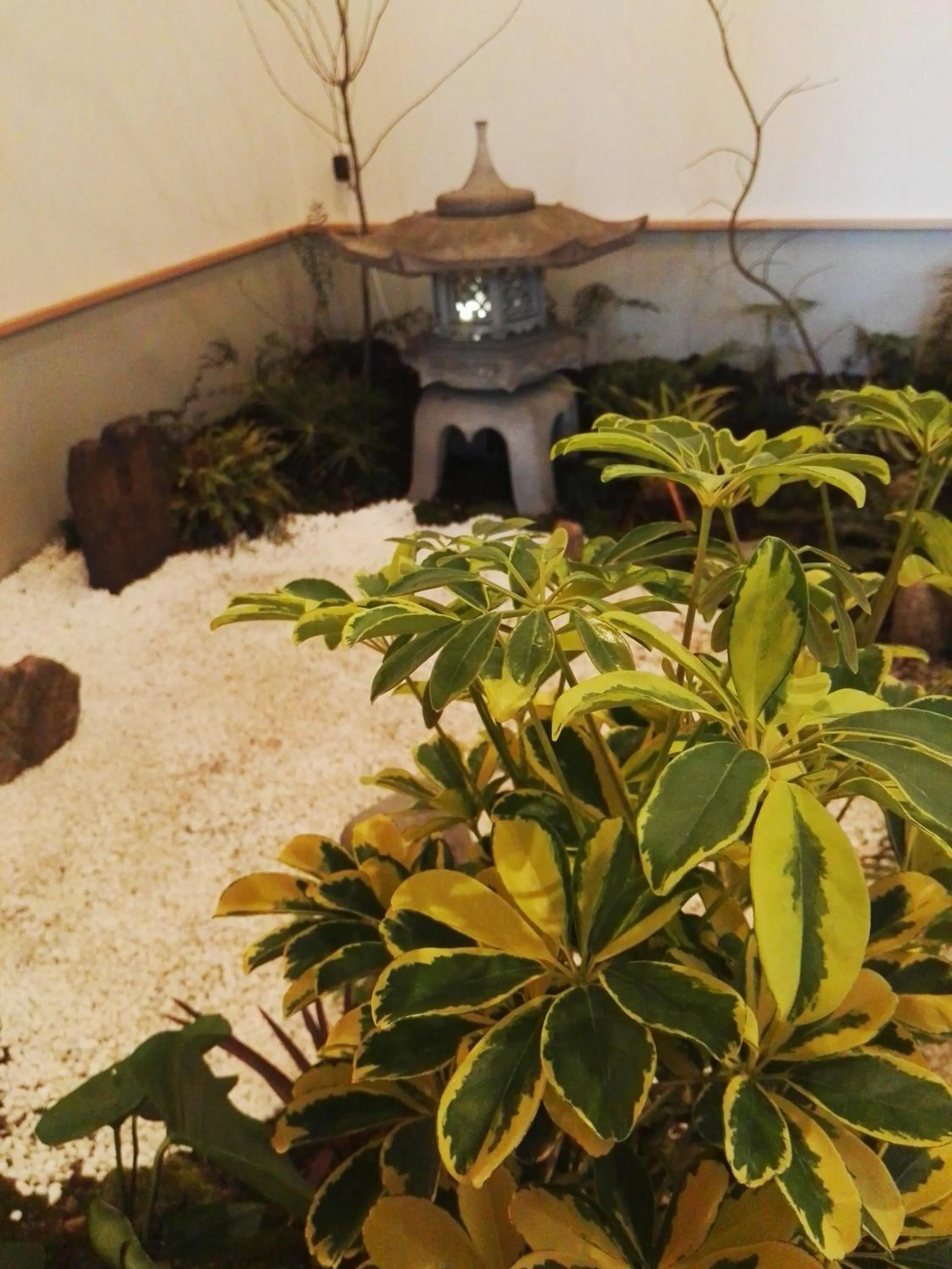 Garden in Nara Deer Hostel - Foreigners Only