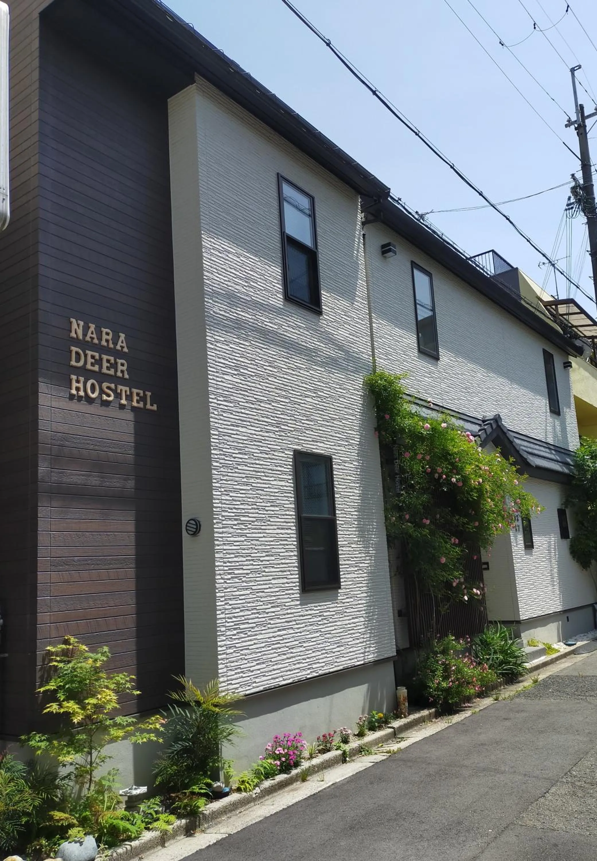 Property Building in Nara Deer Hostel - Foreigners Only