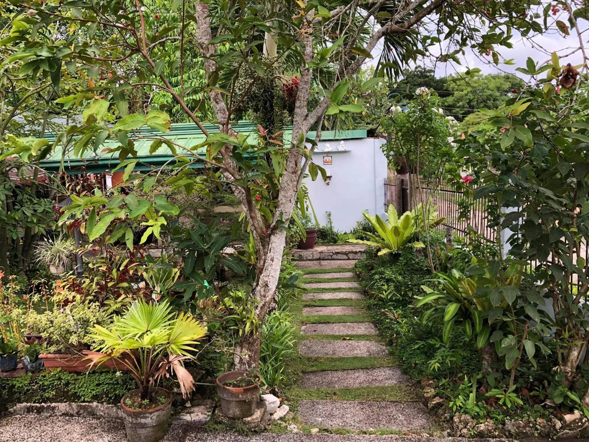 Natural landscape in Villa 301 B&B