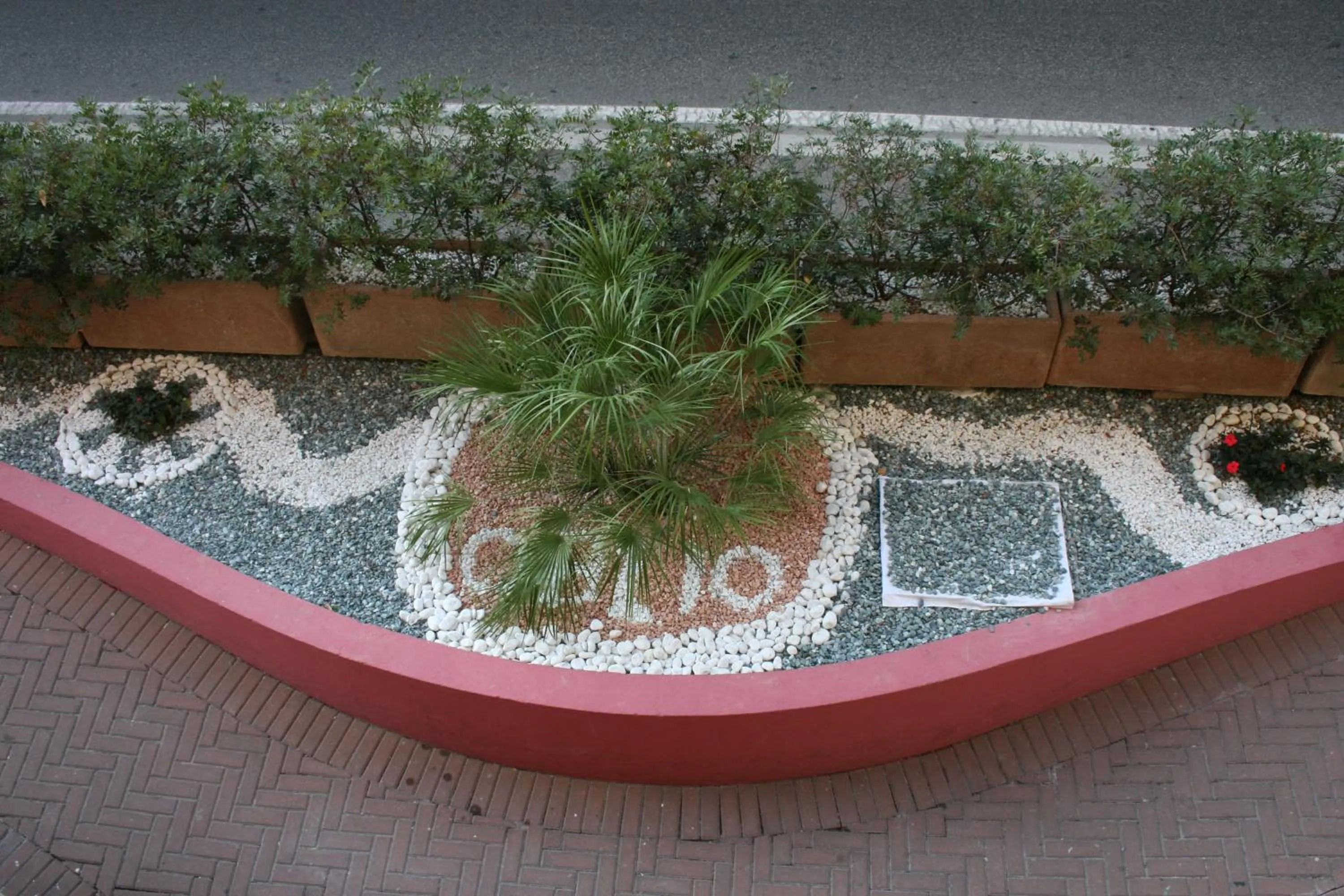 Garden in Hotel Oblio