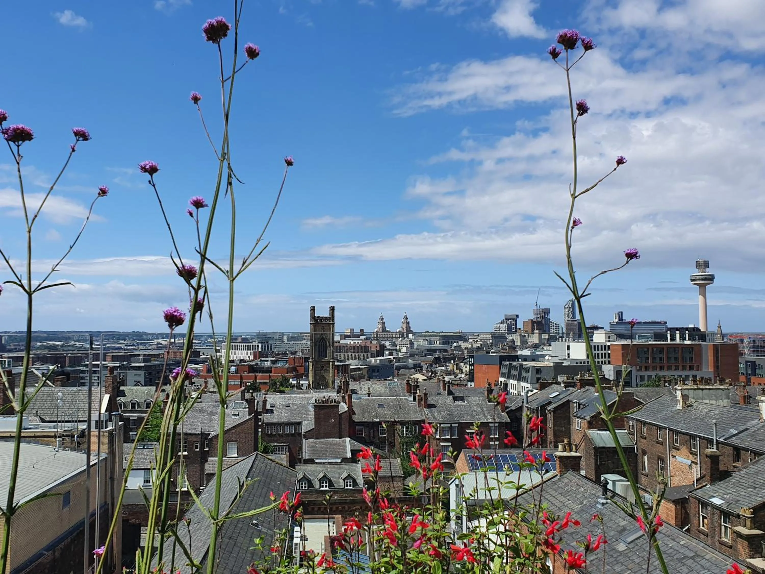 View (from property/room) in Hope Street Hotel