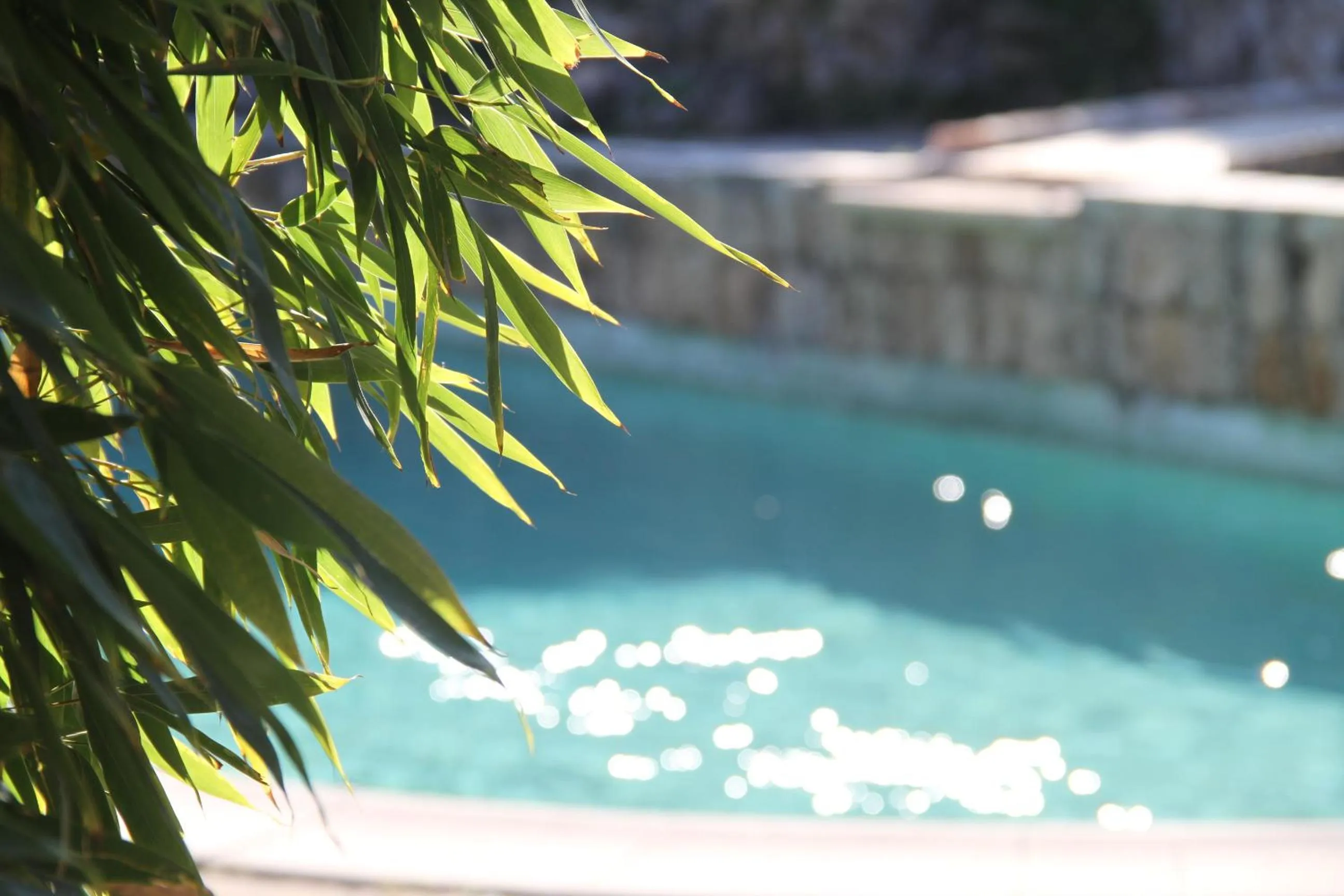 Swimming pool in Les Vingalières