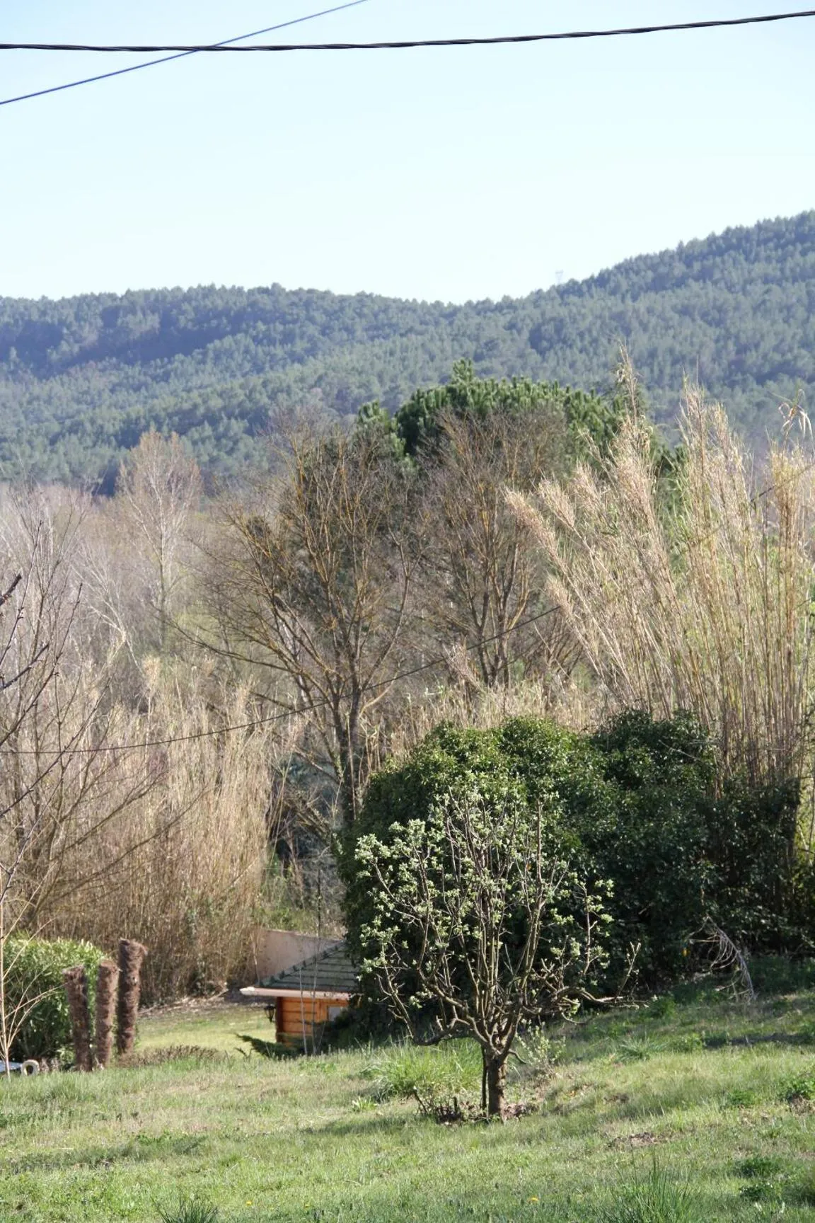 Garden view in Les Vingalières