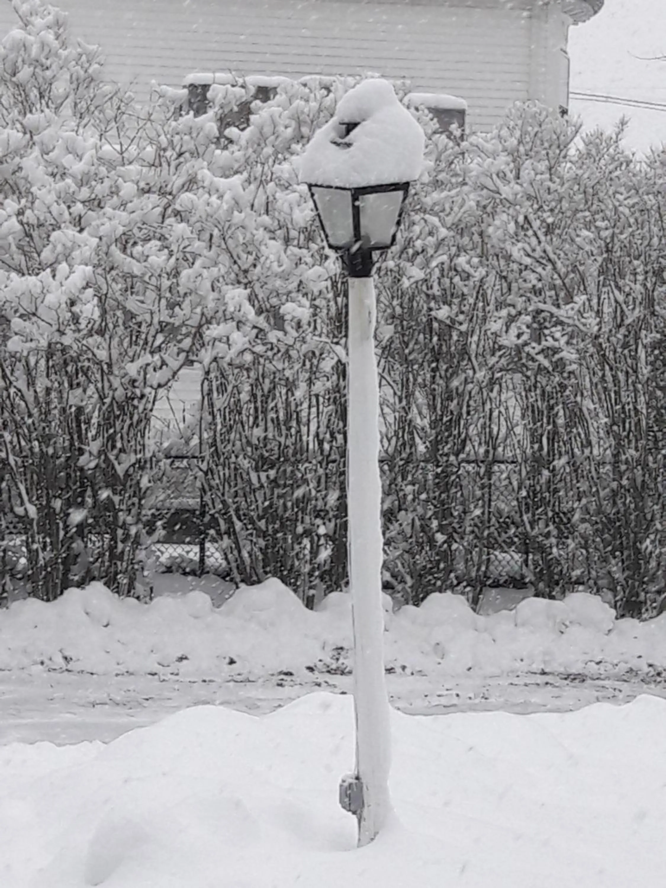 Property building in Proctor Mansion Inn