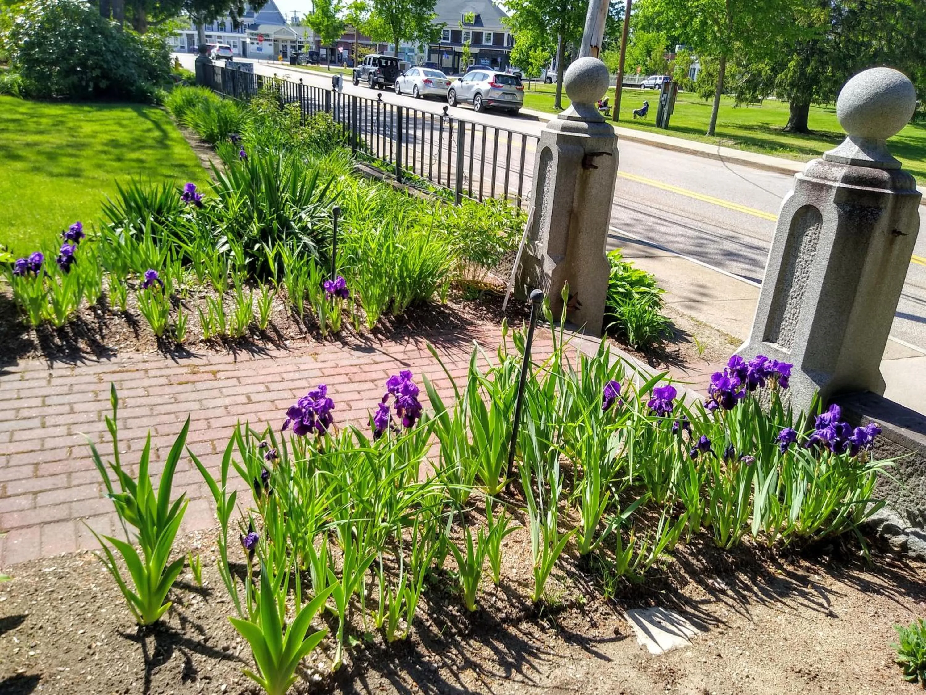 Property building in Proctor Mansion Inn