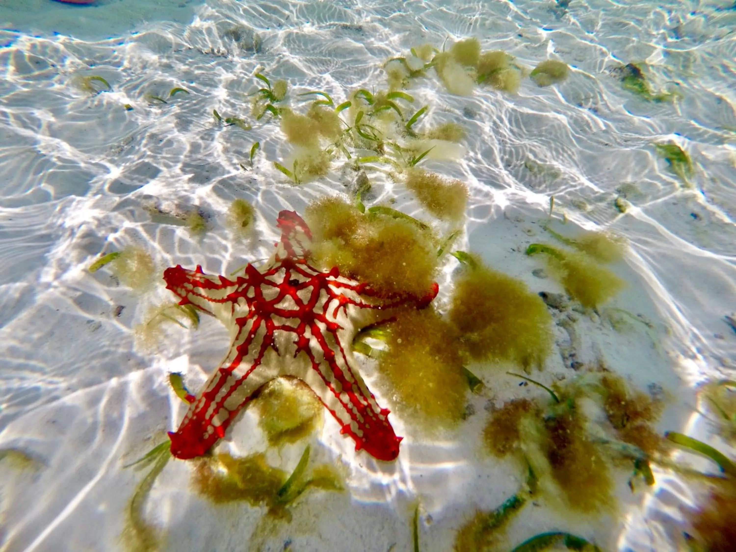 Activities in Mahali Zanzibar
