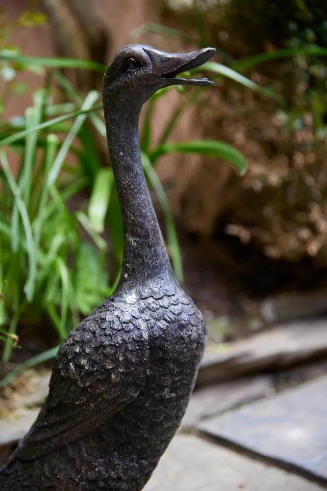 Garden in Perryville House