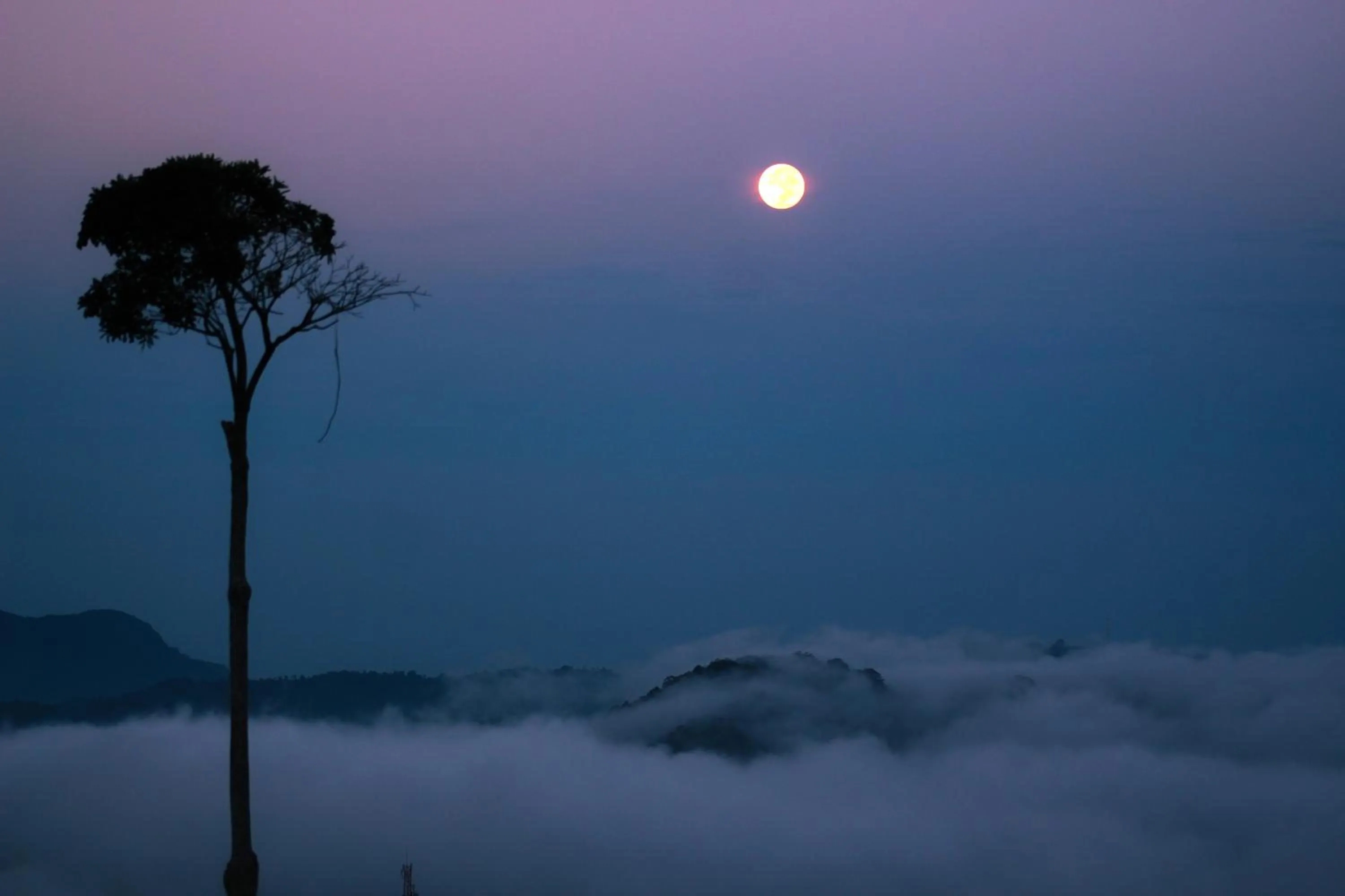 Location in e-stay Hanthana Kandy