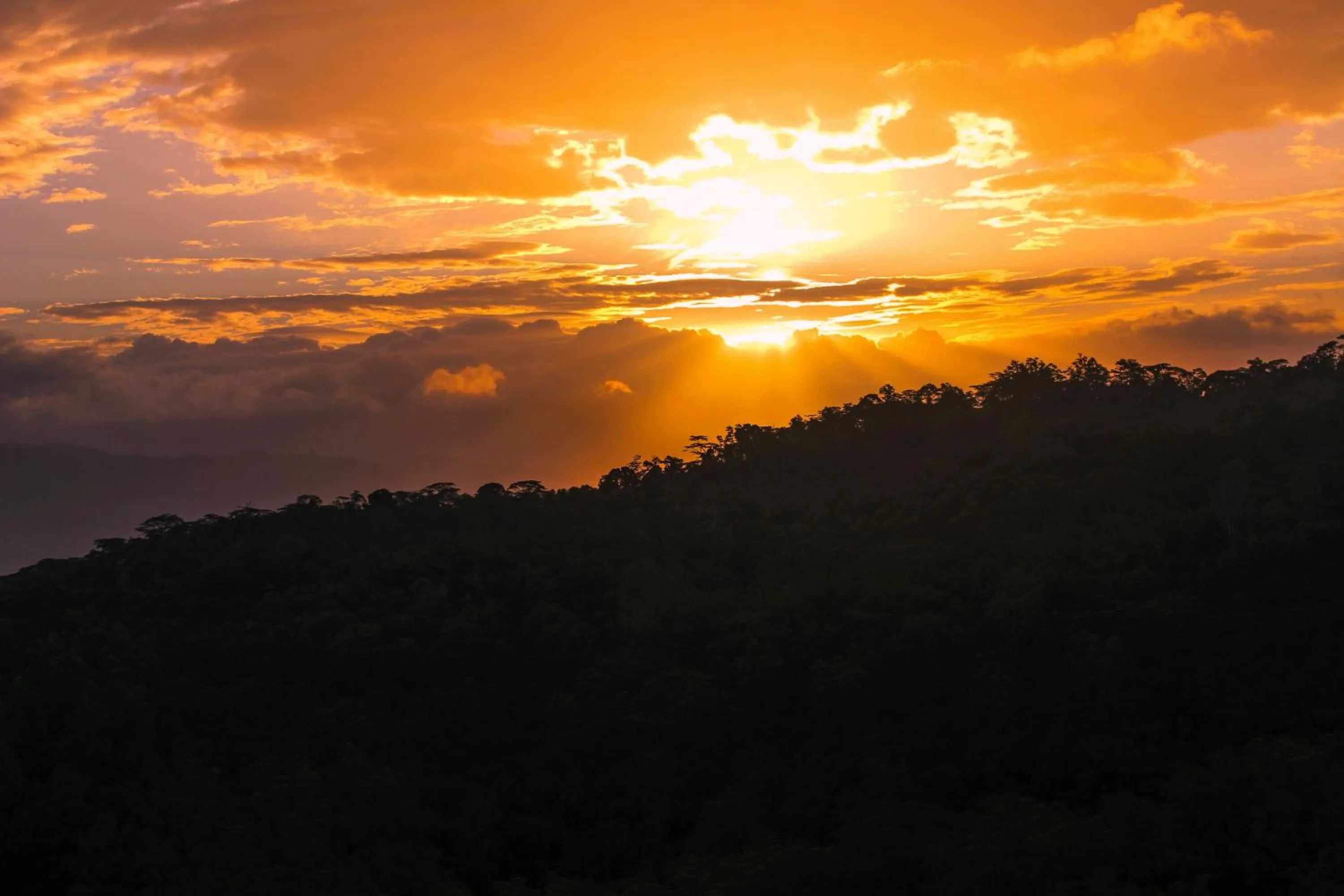 View (from property/room) in e-stay Hanthana Kandy