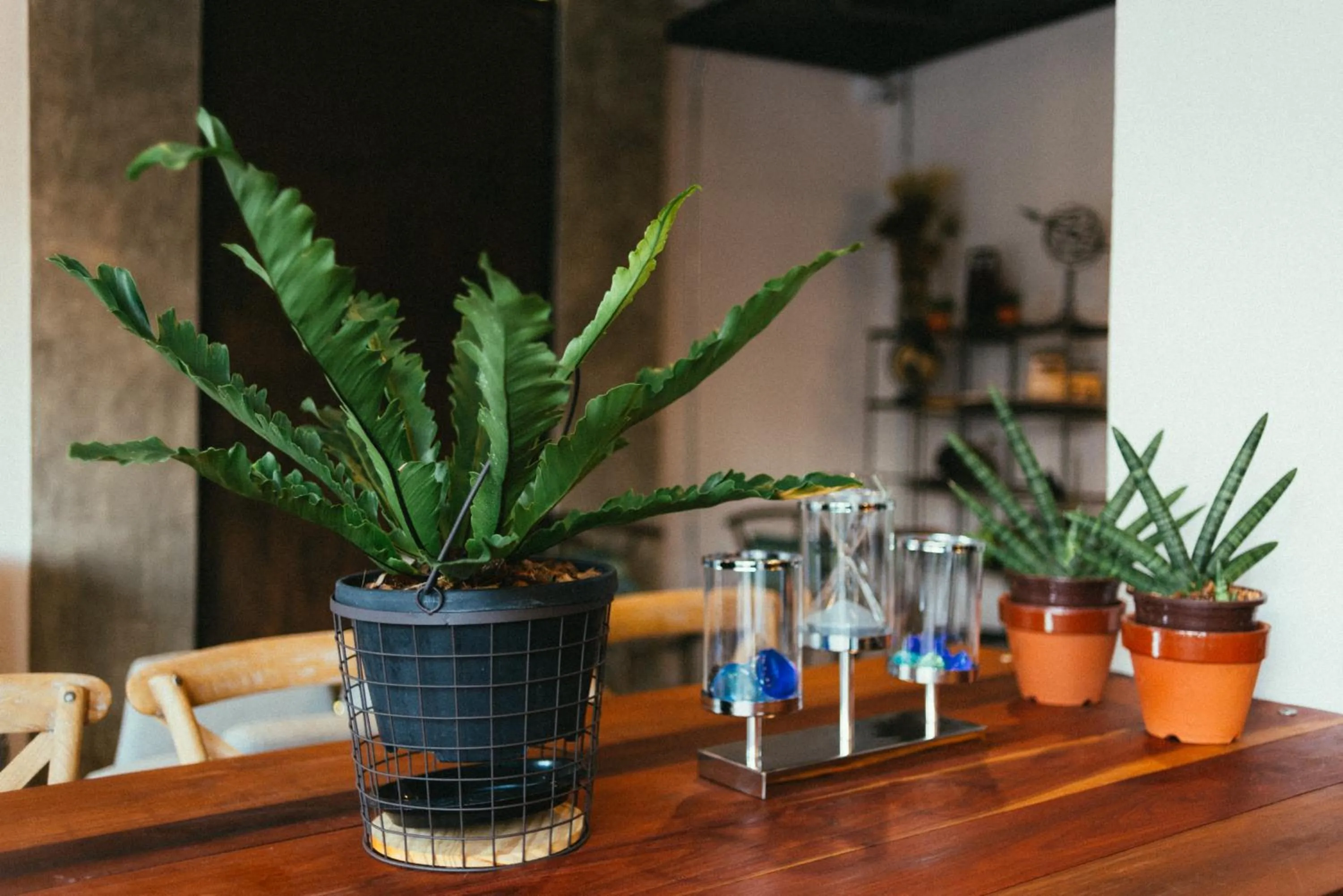 Decorative detail in Chernchan Hostel