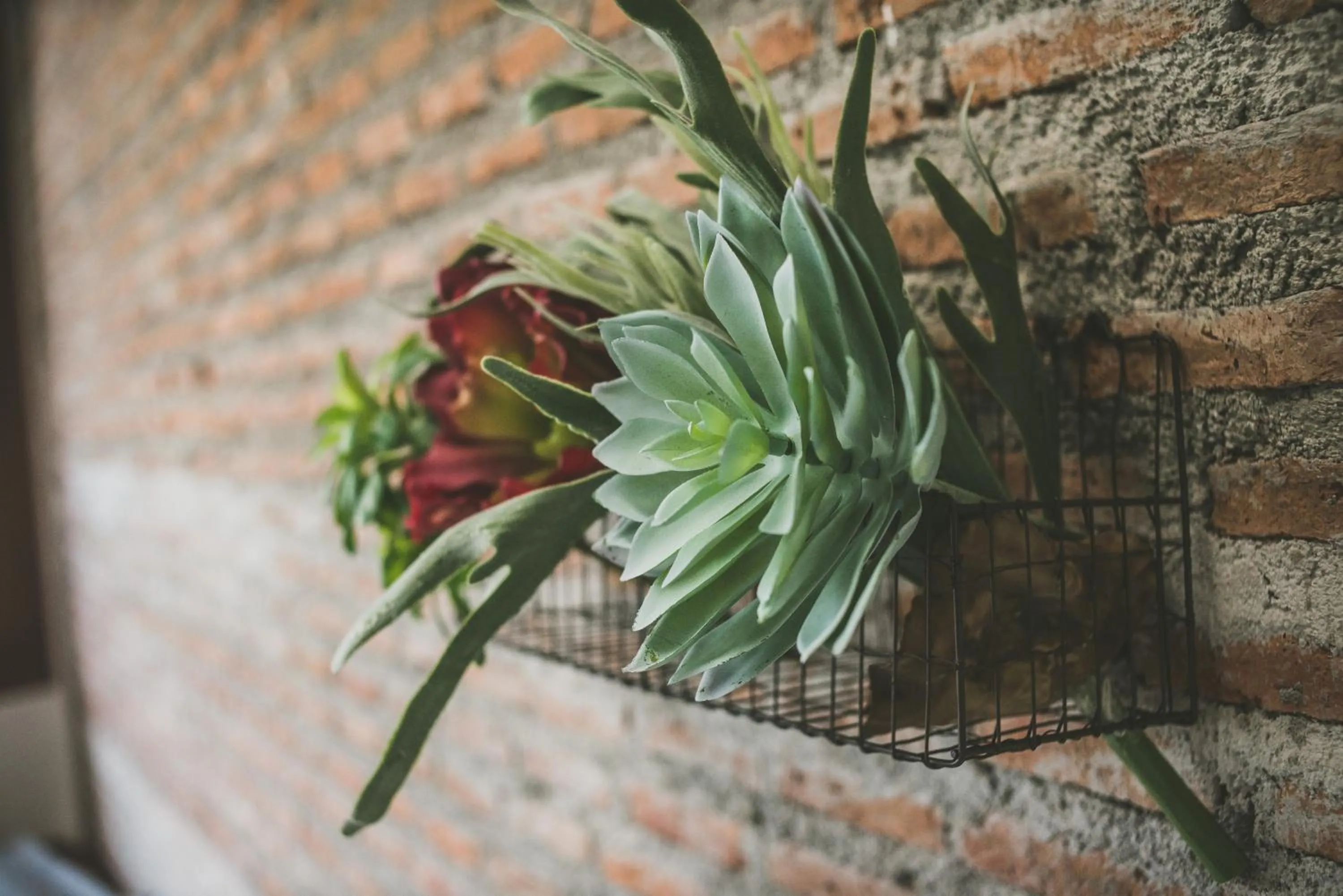 Garden view in Chernchan Hostel