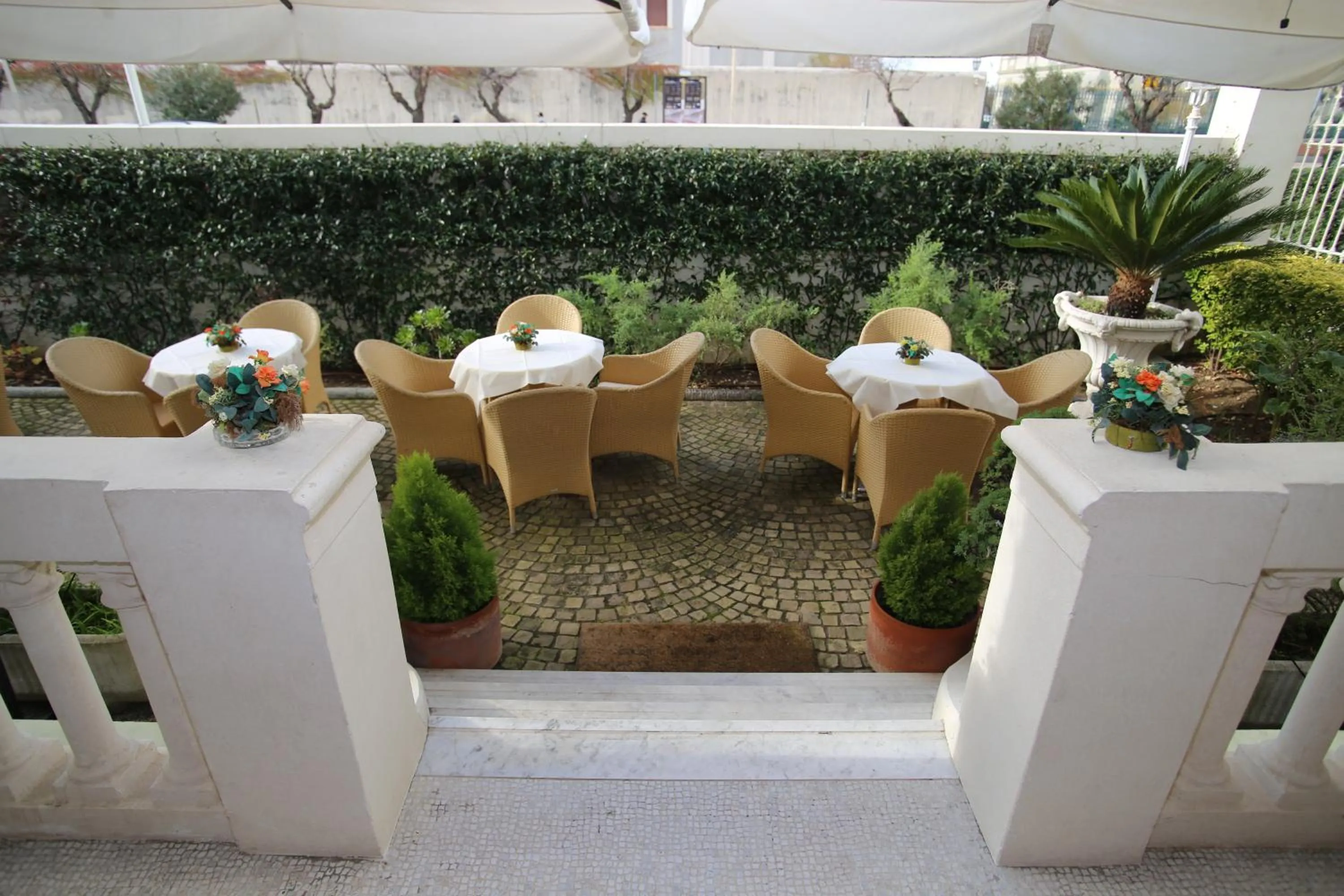 Garden in Hotel Gennarino