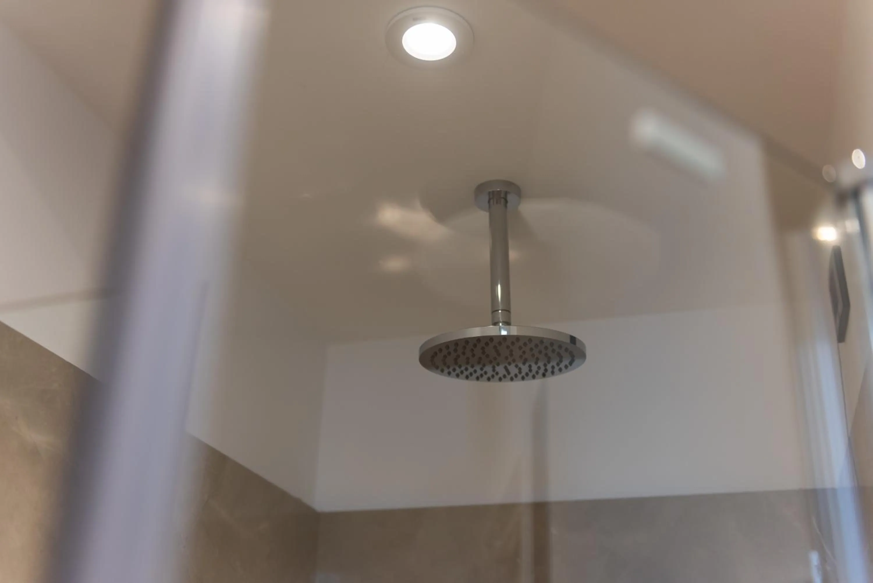 Shower in Bloom Apartment