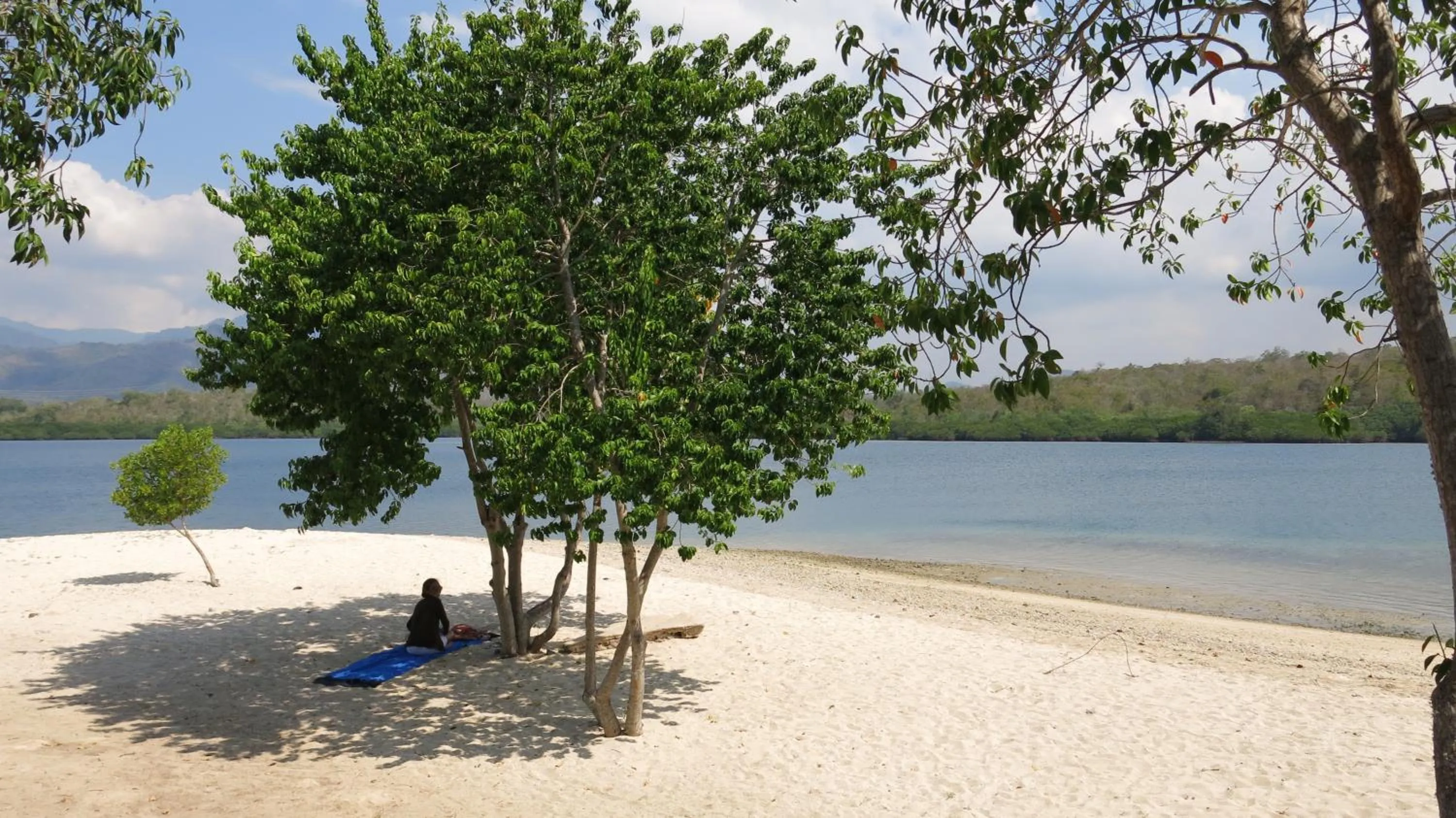 Beach in Batu Ampar Menjangan