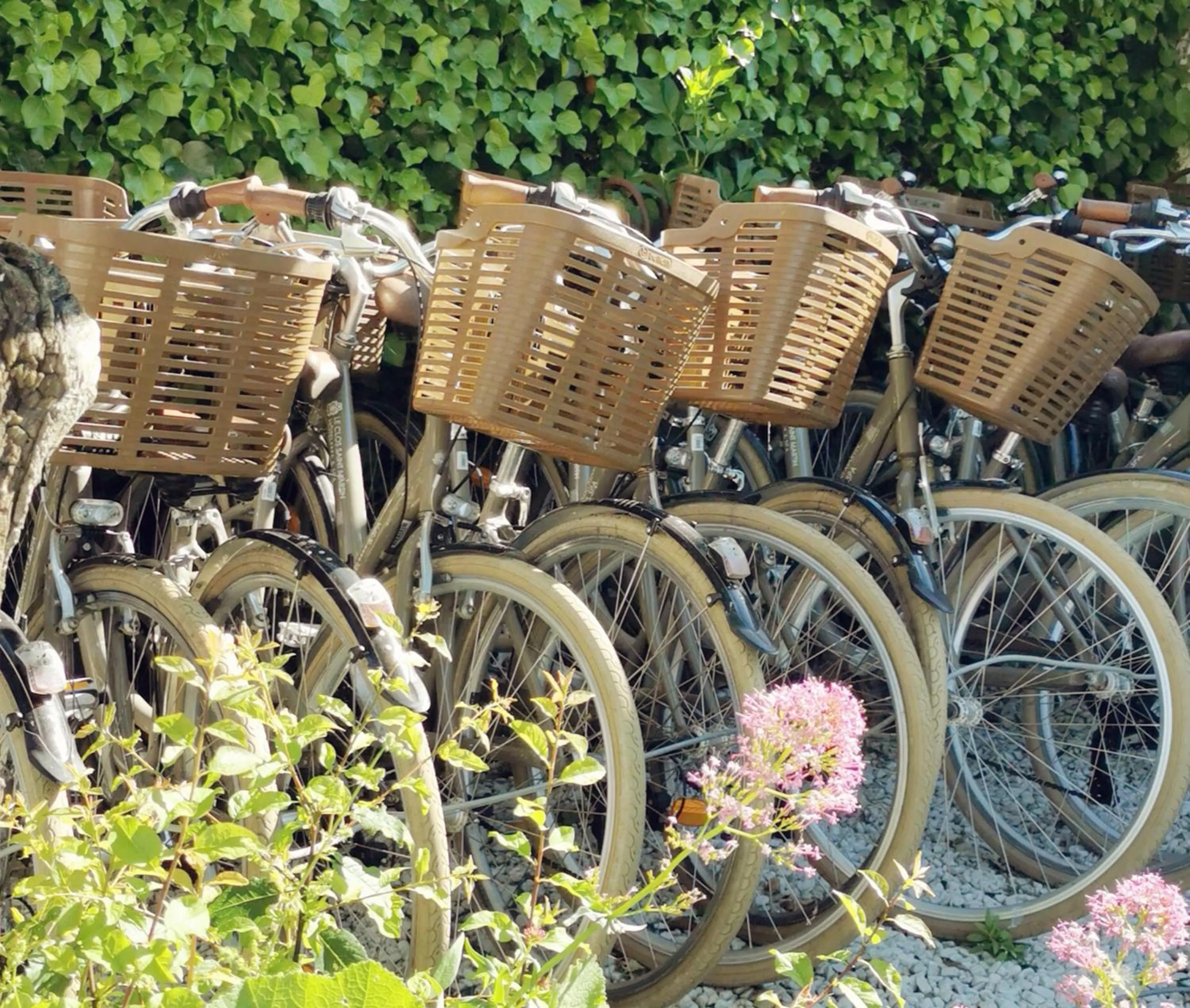 Activities in Le Clos Saint-Martin Hôtel & Spa