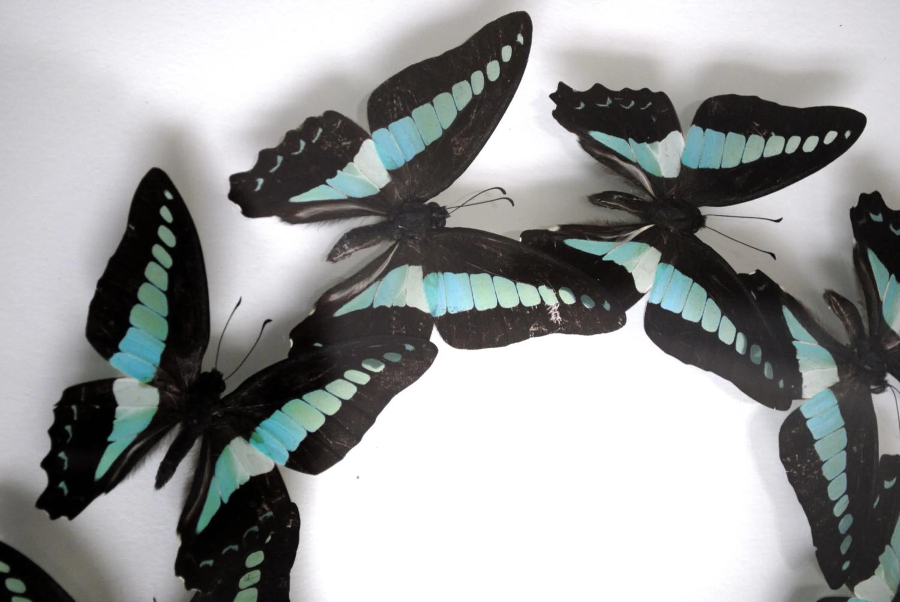 Decorative detail in Le Clos Saint-Martin Hôtel & Spa