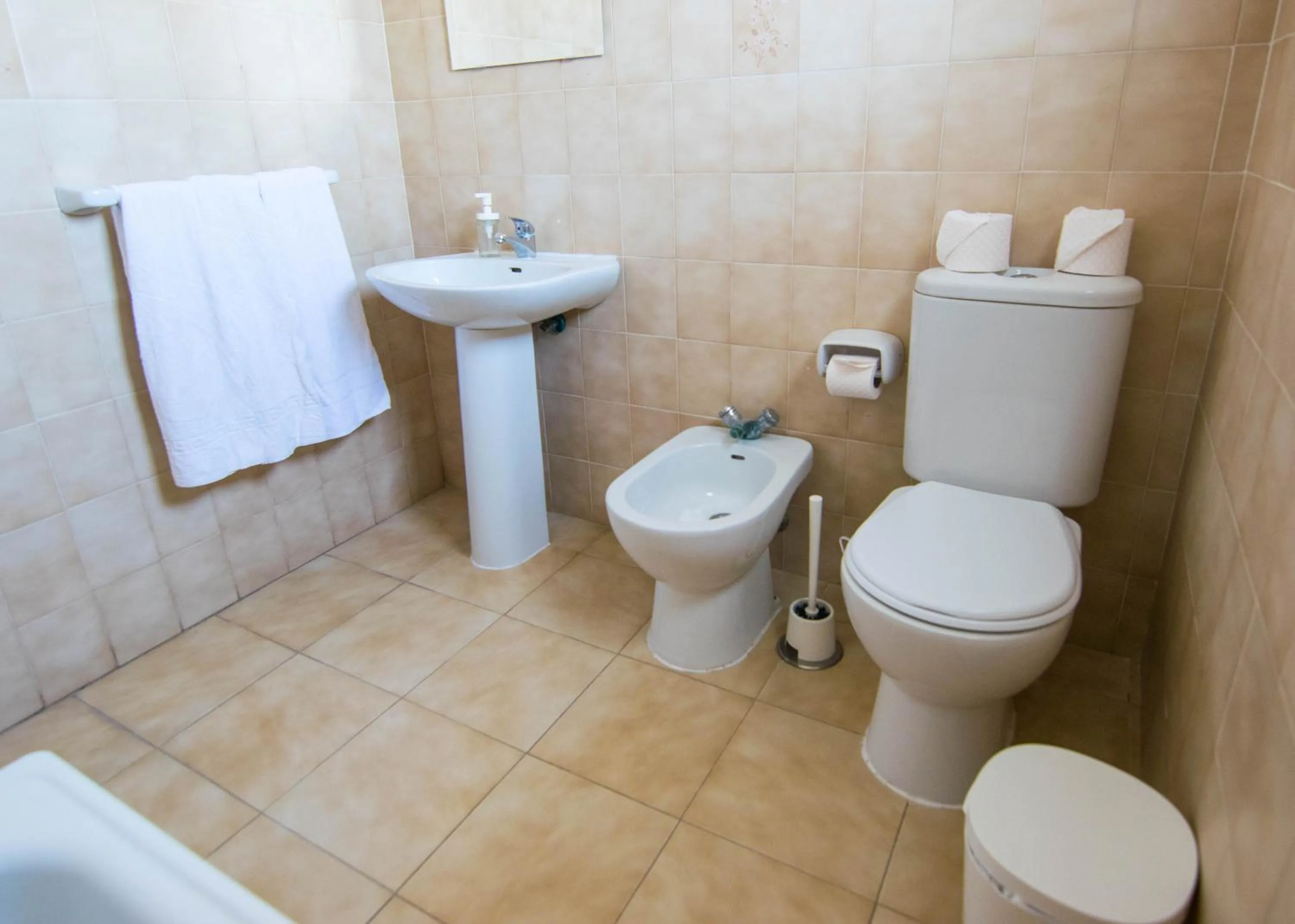 Bathroom in Pensión Alcalá