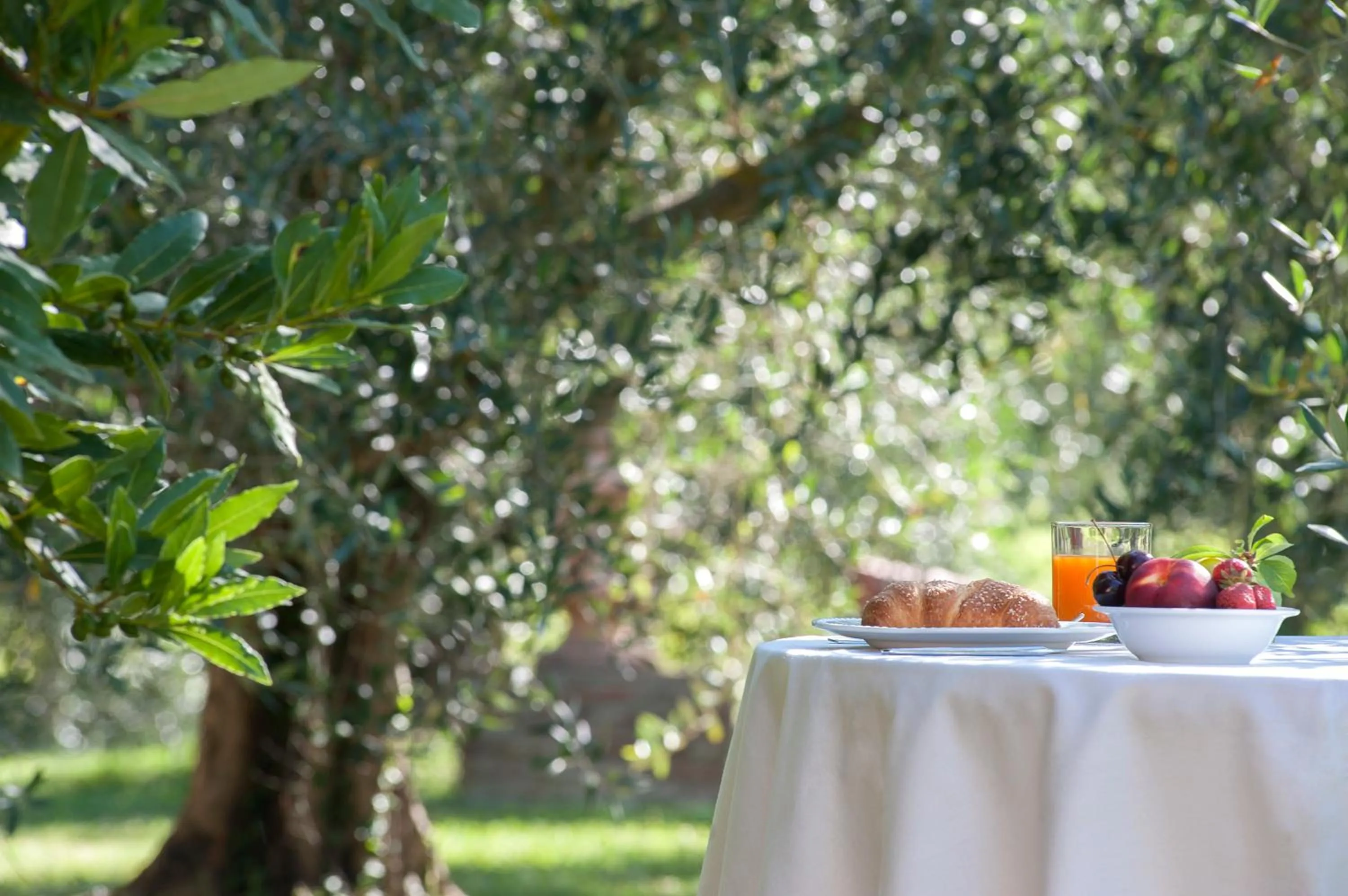 Lounge or bar in Relais Ciavatta Country Hotel