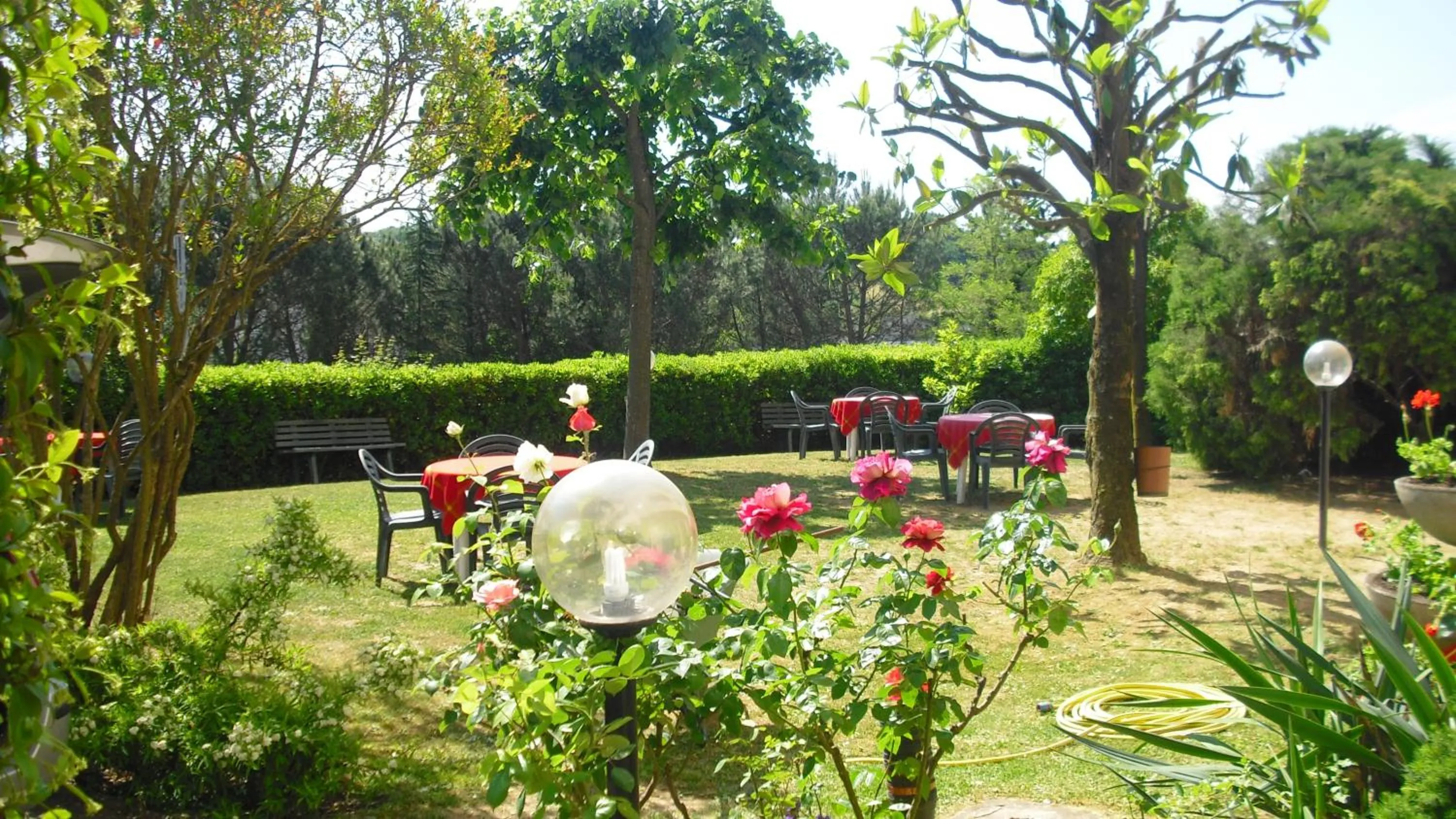 Garden in Park Hotel Galileo