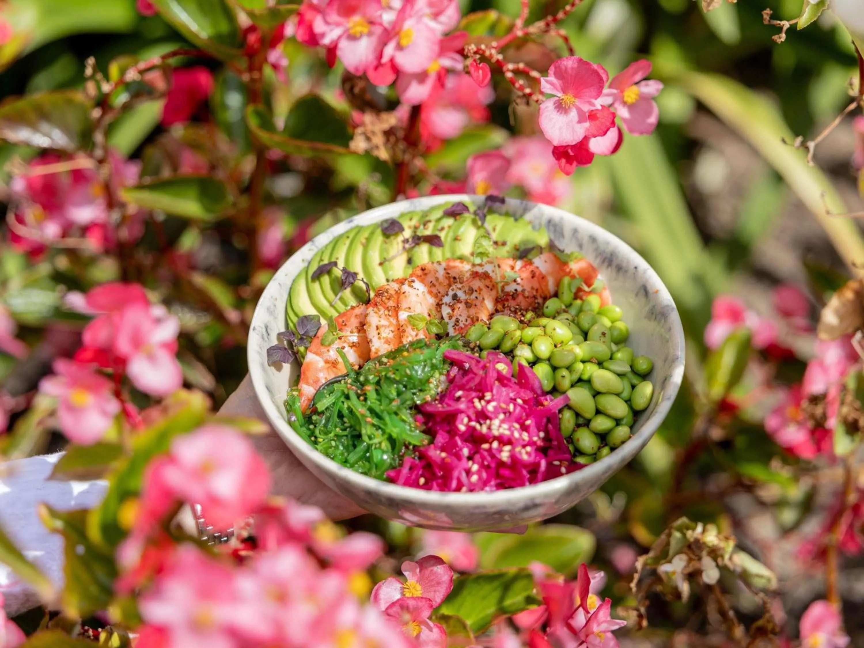 Restaurant/places to eat in Mondrian Cannes