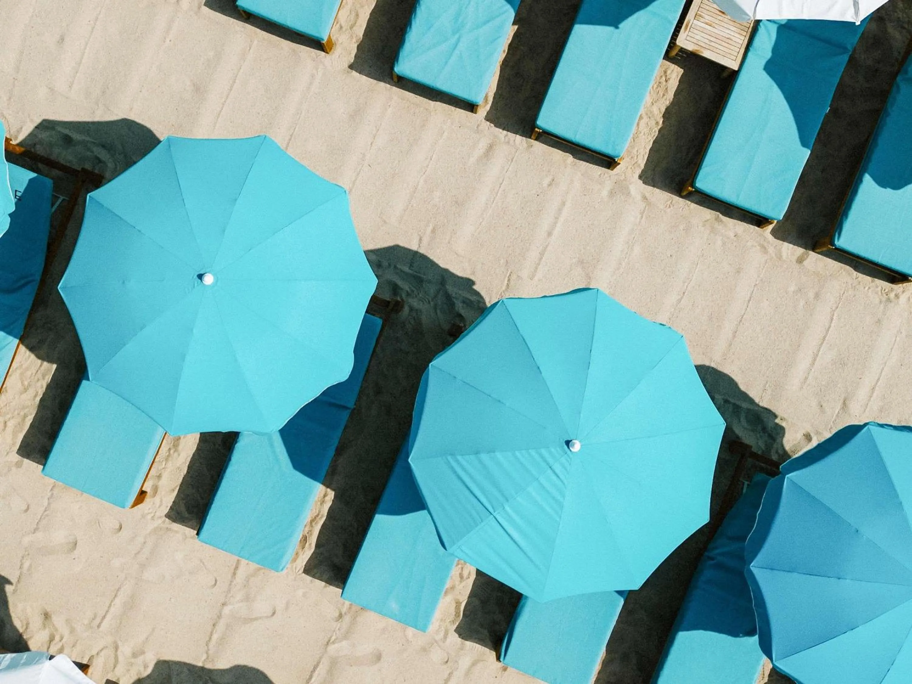 Restaurant/places to eat in Mondrian Cannes