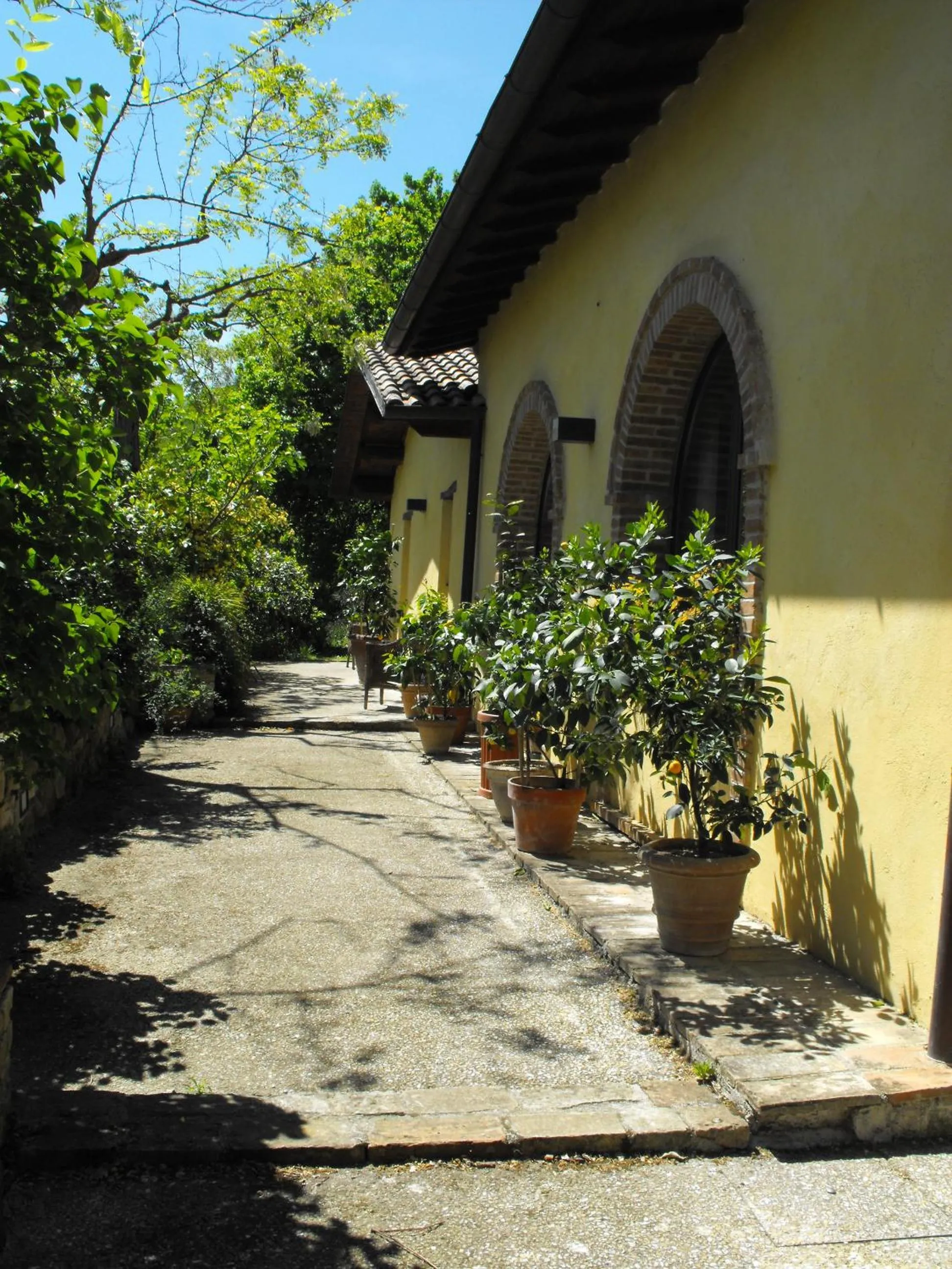 Patio in Bed and breakfast Il Governatore