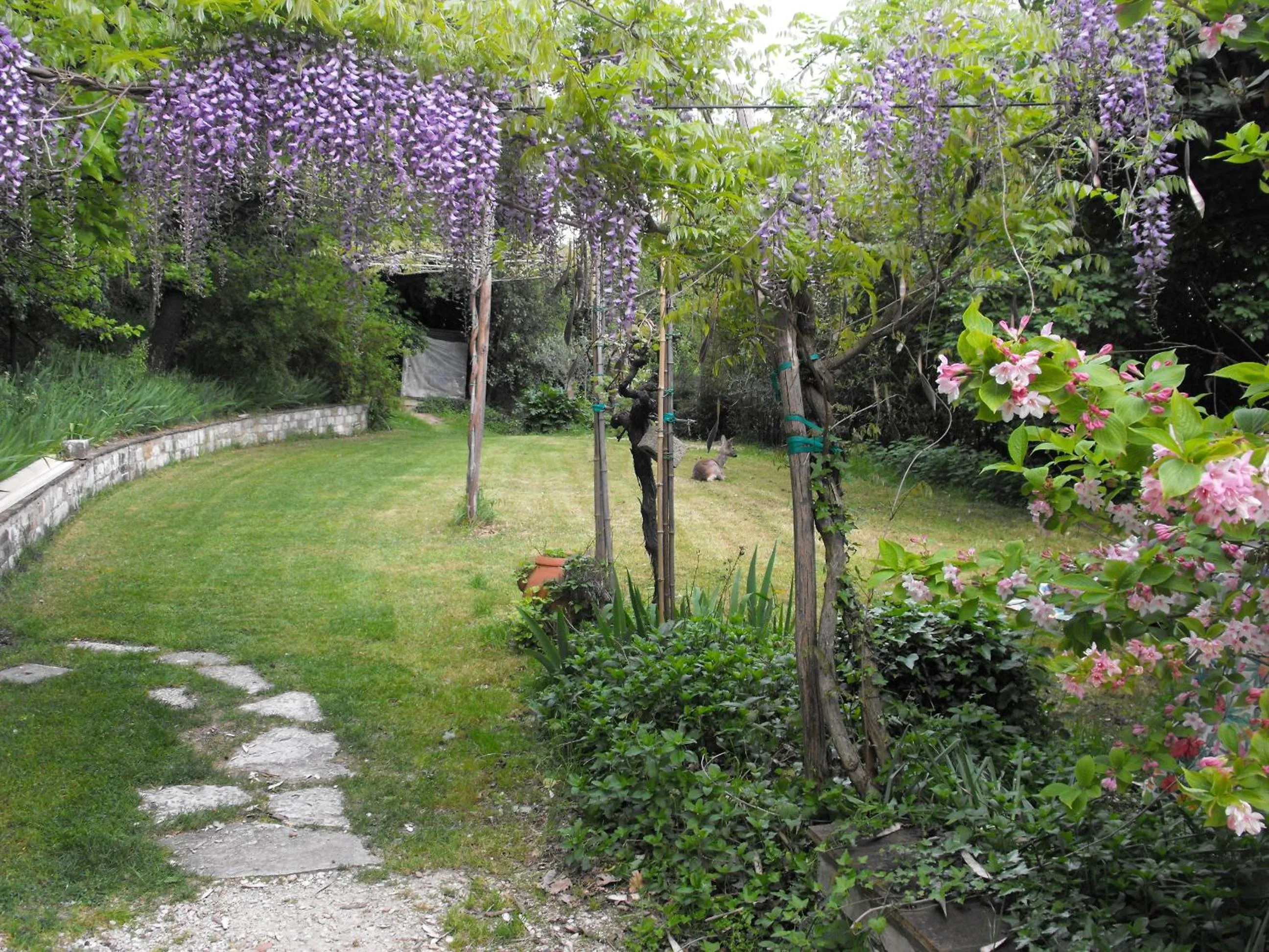 Garden in Bed and breakfast Il Governatore