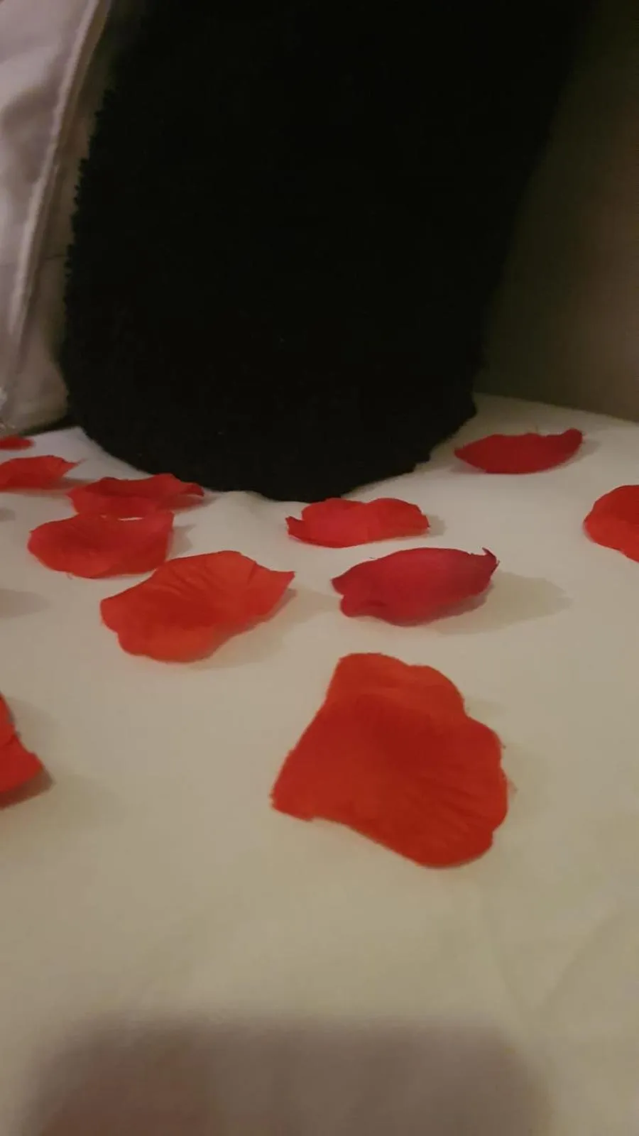 Bed in Pousada Hencke Haus