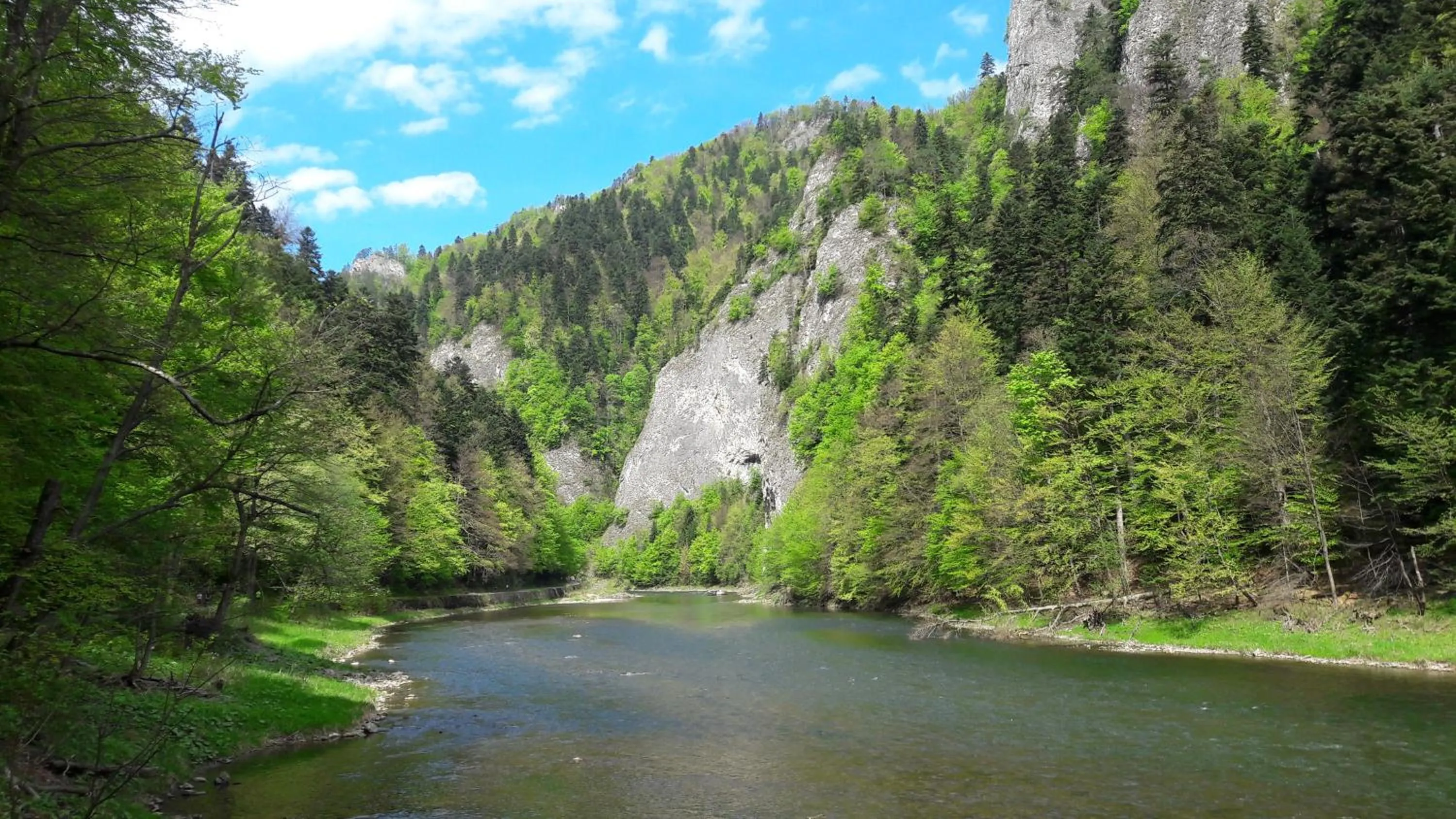 Off site in Apartament JBF Homole