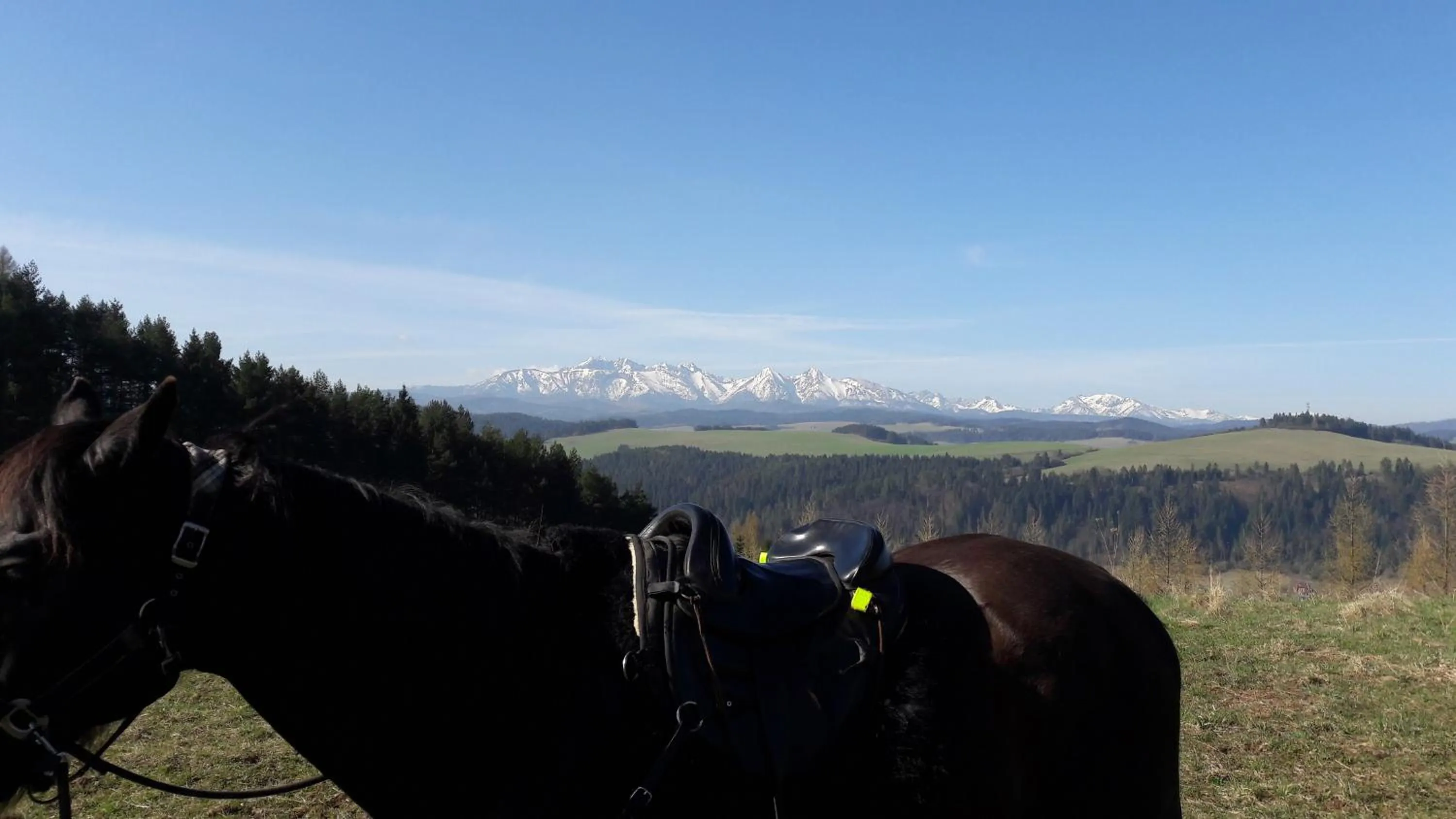 Horse-riding in Apartament JBF Homole